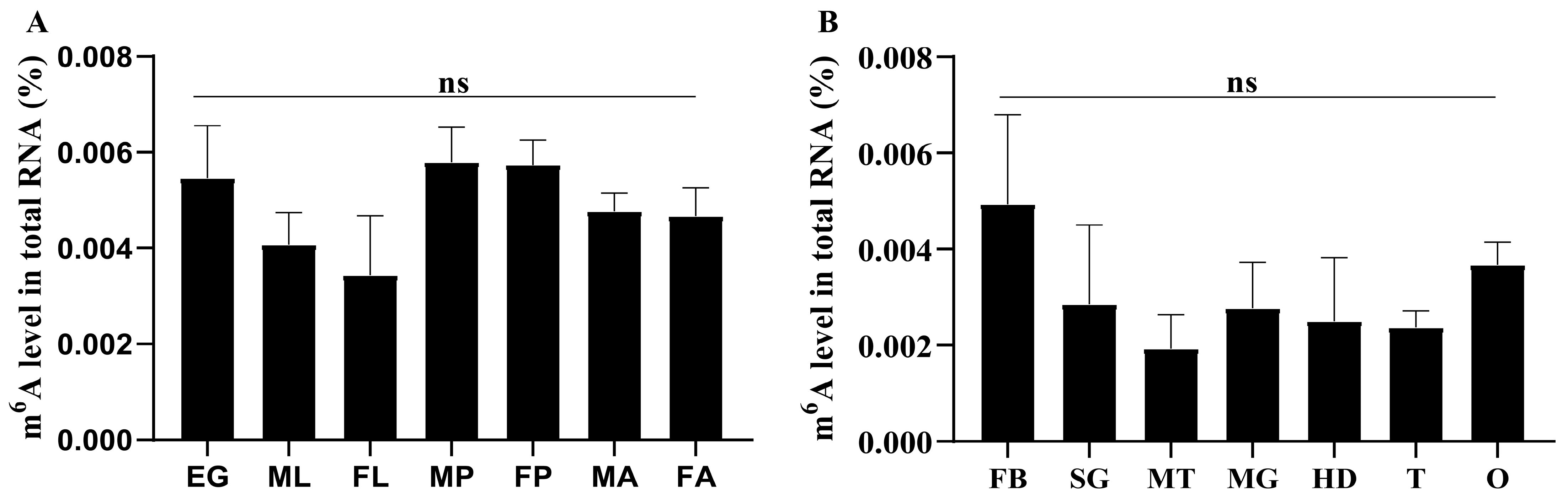 IJMS | Free Full-Text | Functional Characterization of Two RNA