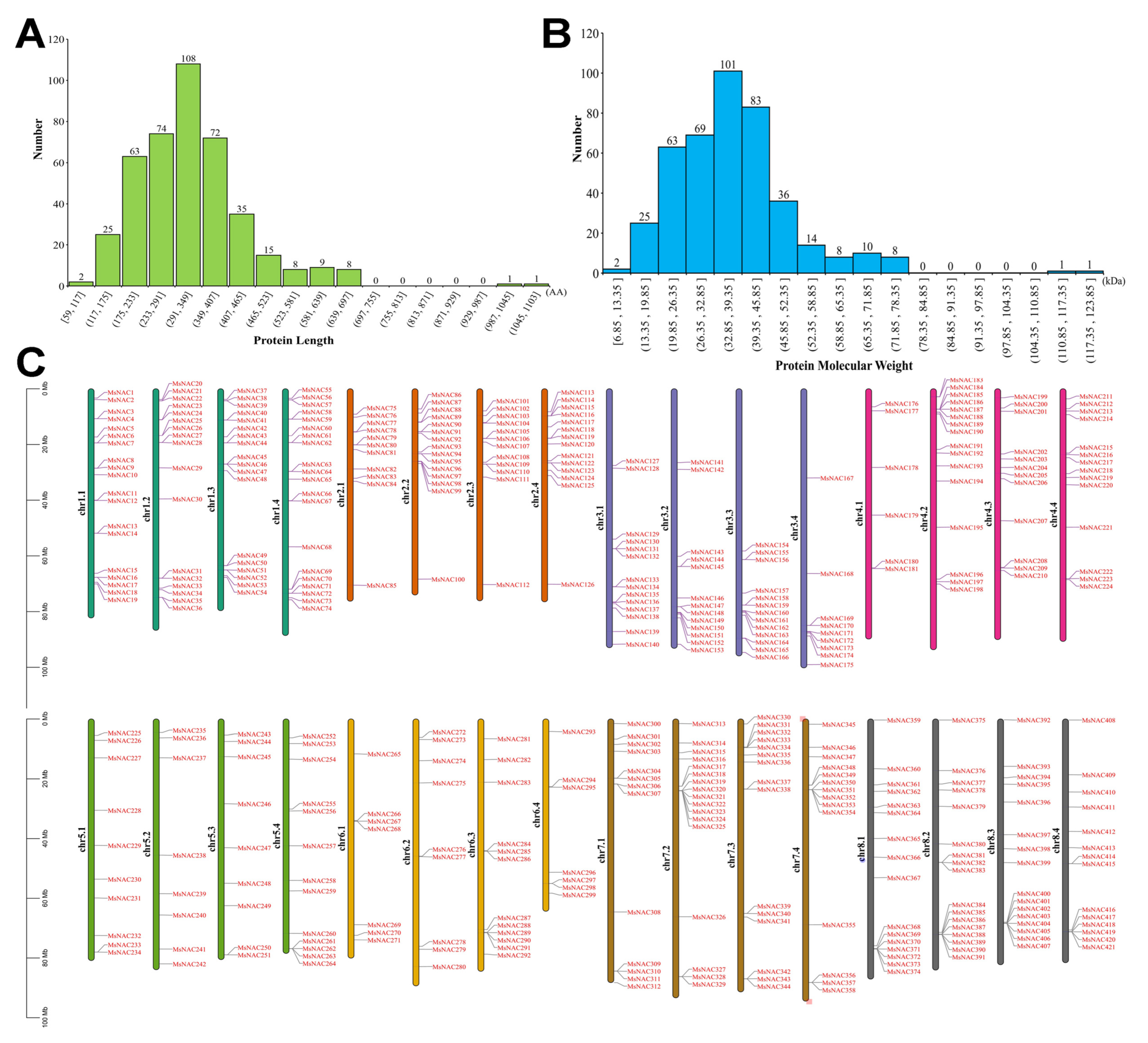 IJMS | Free Full-Text | Genome-Wide Identification and Expression Analysis  of the NAC Gene Family in Alfalfa Revealed Its Potential Roles in Response  to Multiple Abiotic Stresses | HTML