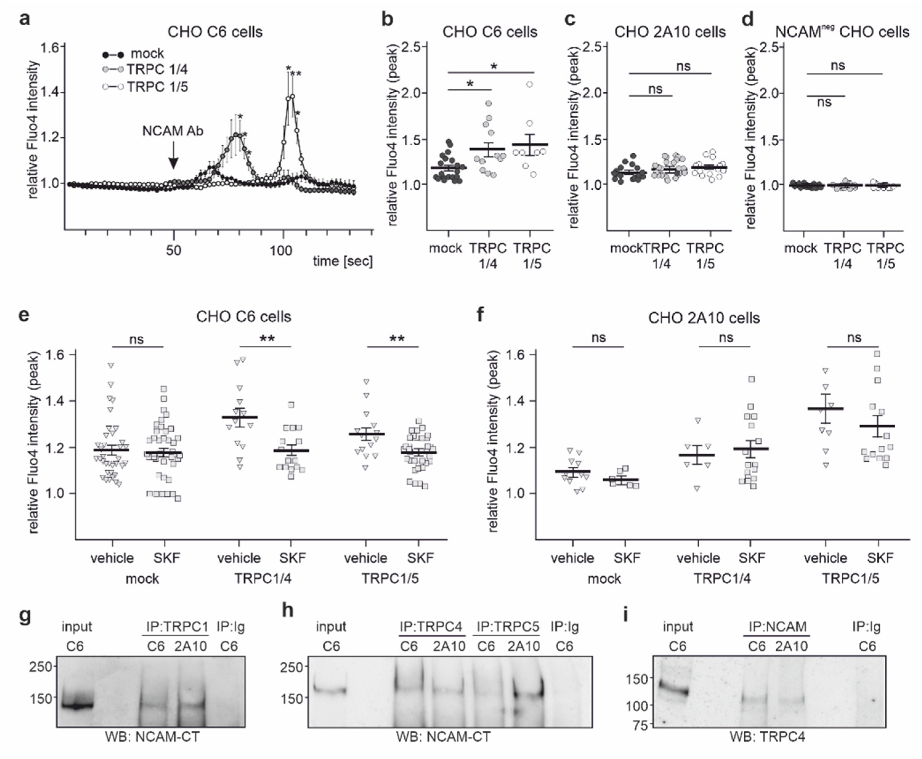 Ijms 23 10027 g008 Ijms 23 10027 g008