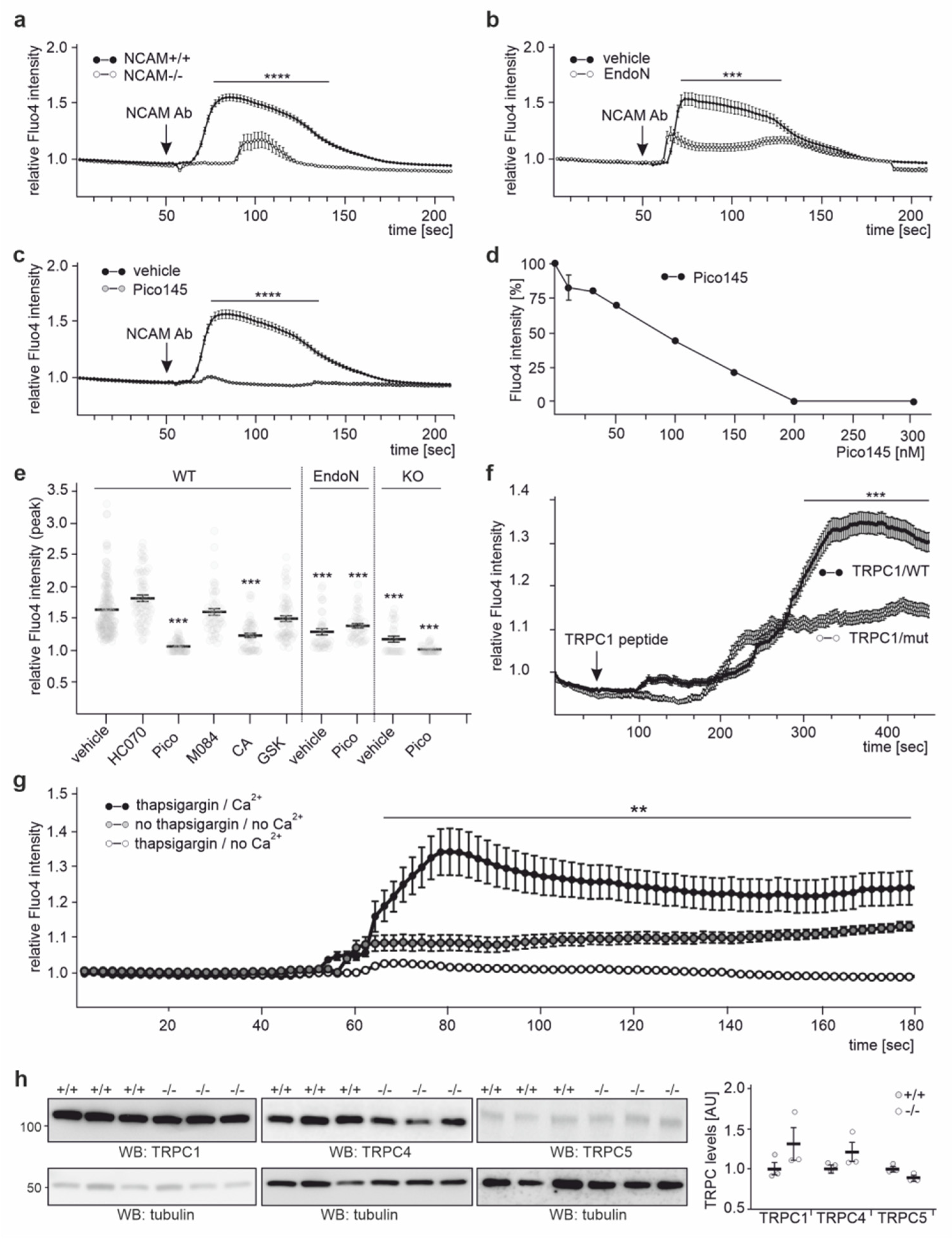 Ijms 23 10027 g009 Ijms 23 10027 g009