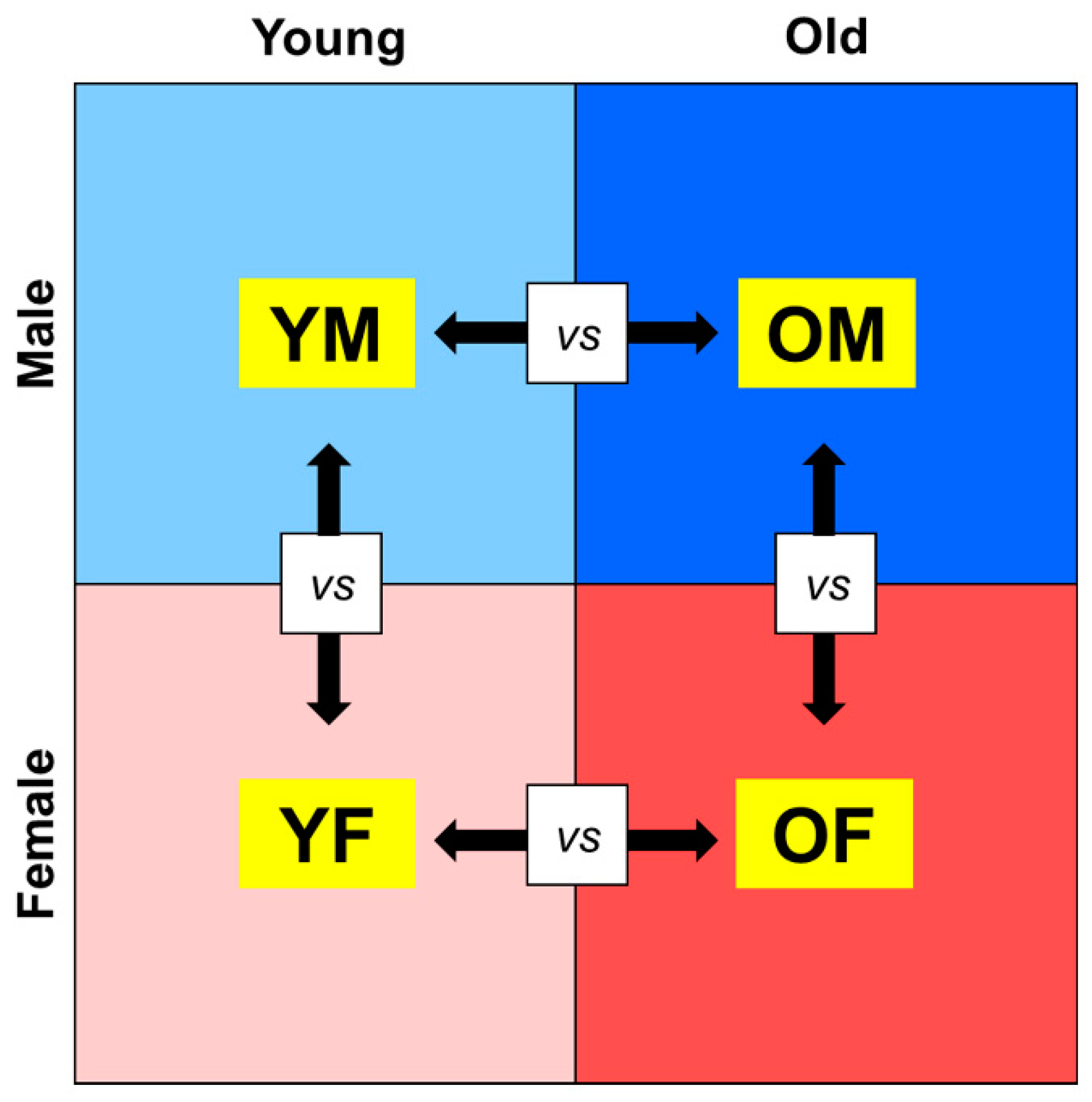 IJMS | Free Full-Text | Regulation of Circadian Genes Nr1d1 and Nr1d2 in Sex-Different  Manners during Liver Aging