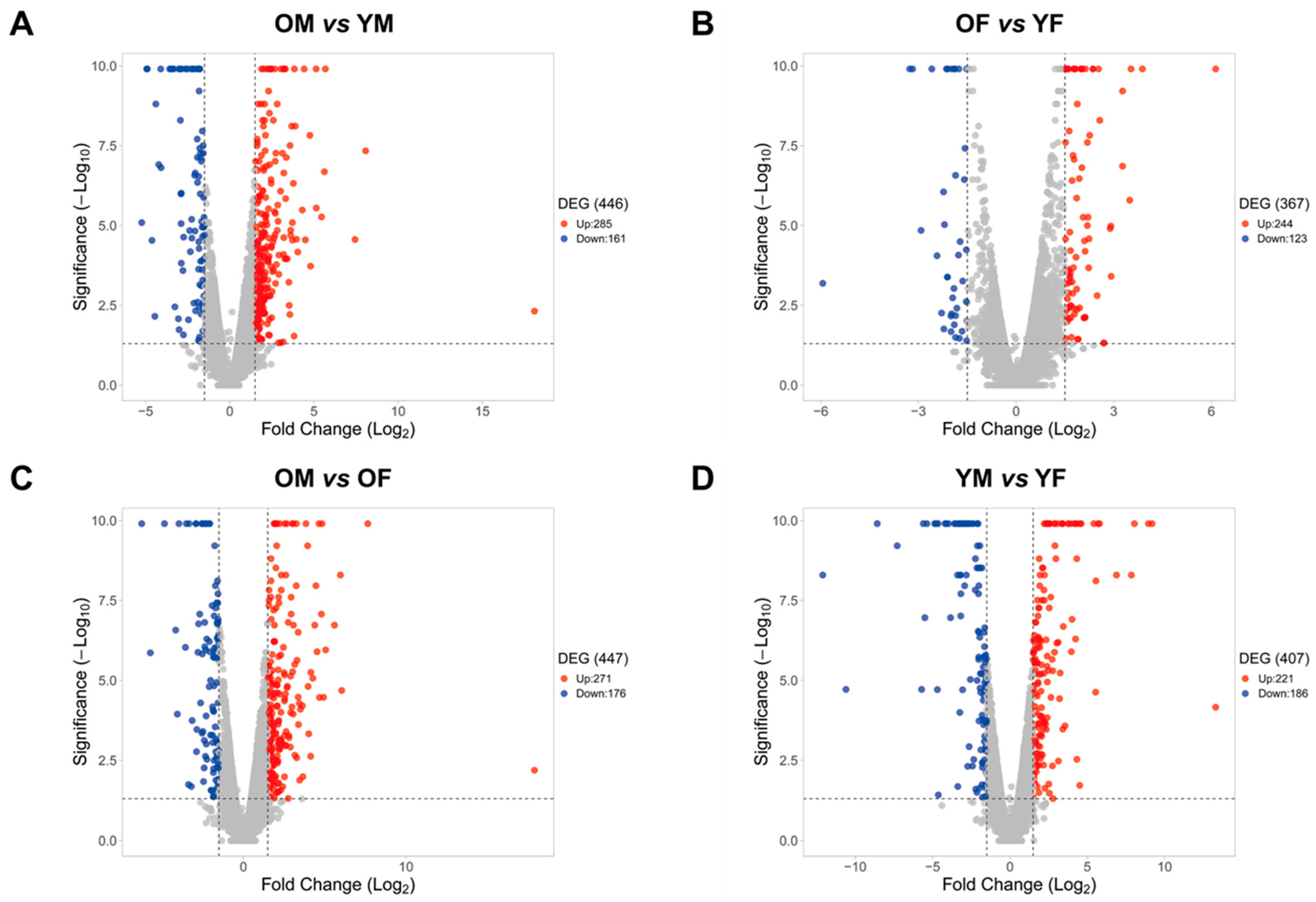 Ijms Free Full Text Regulation Of Circadian Genes Nr1d1 And Nr1d2