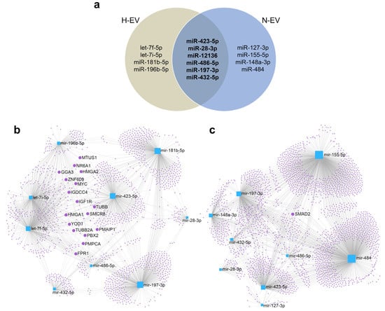 IJMS | Free Full-Text | Selective Loading And Variations In The MiRNA ...