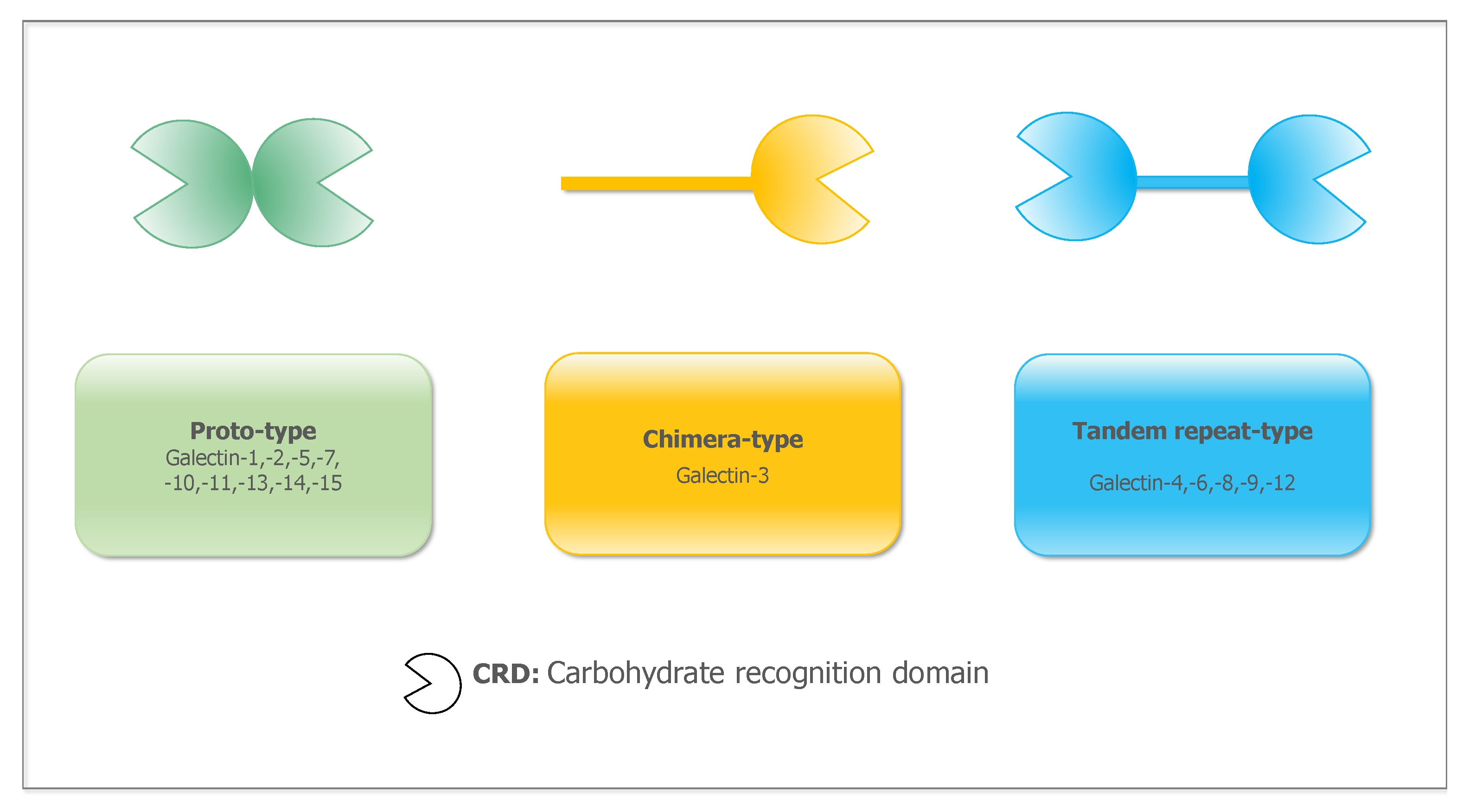 Ijms 23 10110 g001 Ijms 23 10110 g001