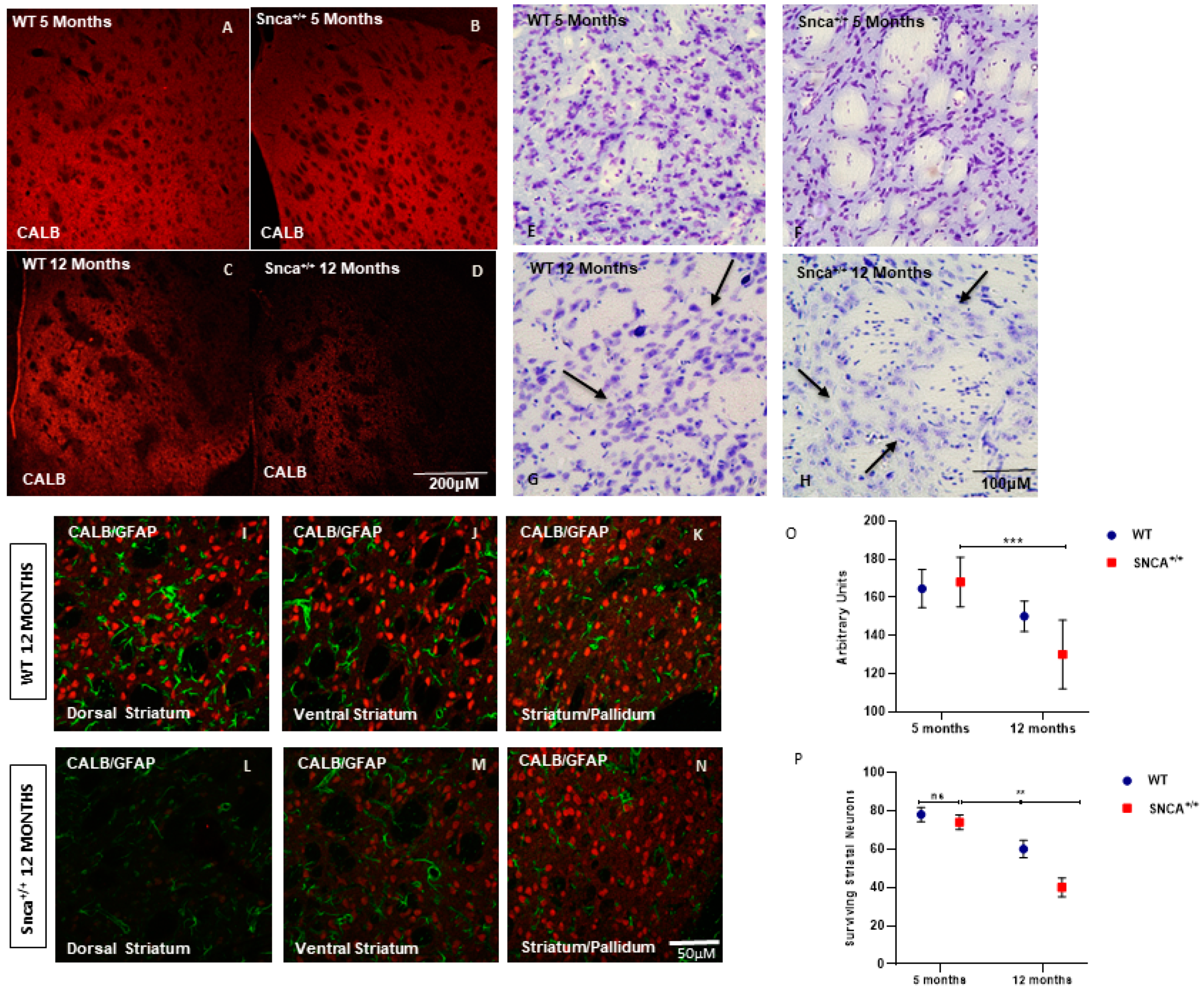 Ijms 23 10126 g001 Ijms 23 10126 g001