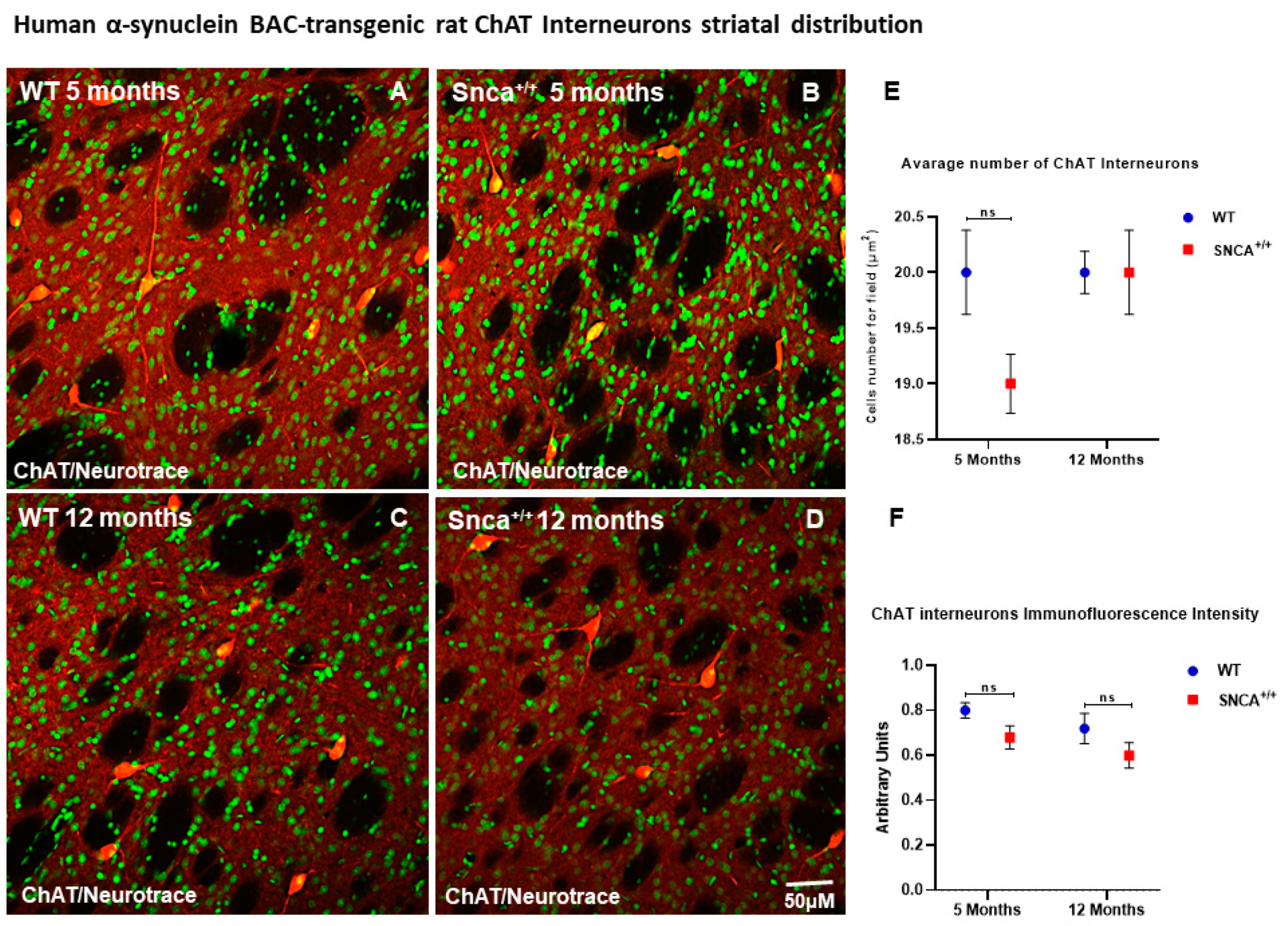 Ijms 23 10126 g002 Ijms 23 10126 g002