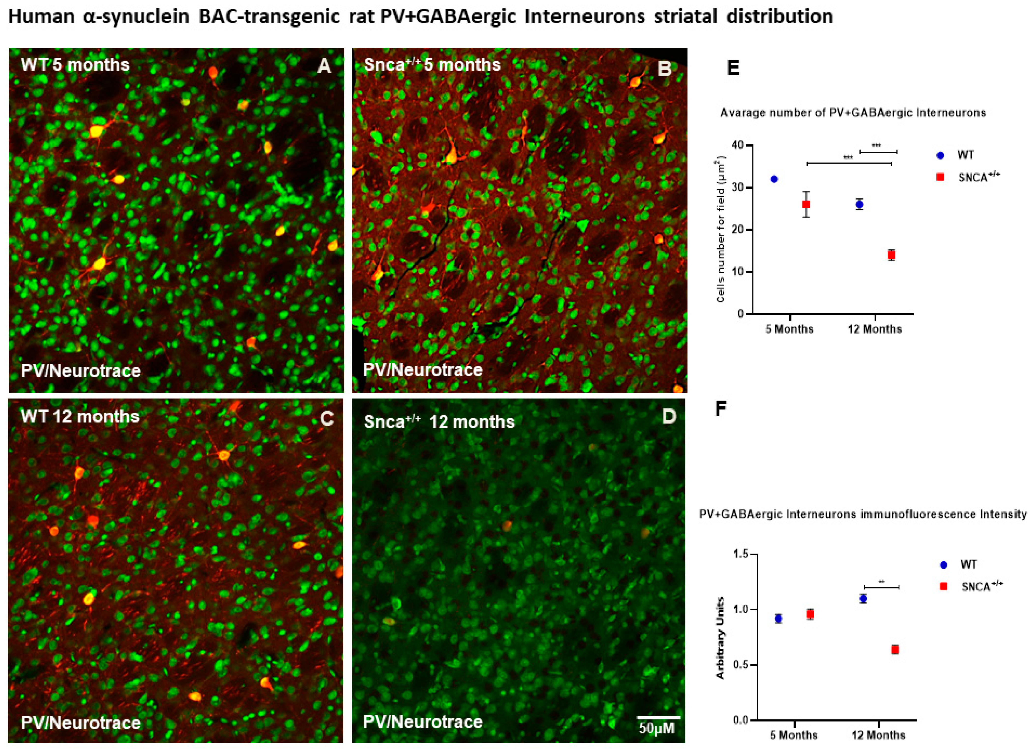 Ijms 23 10126 g003 Ijms 23 10126 g003