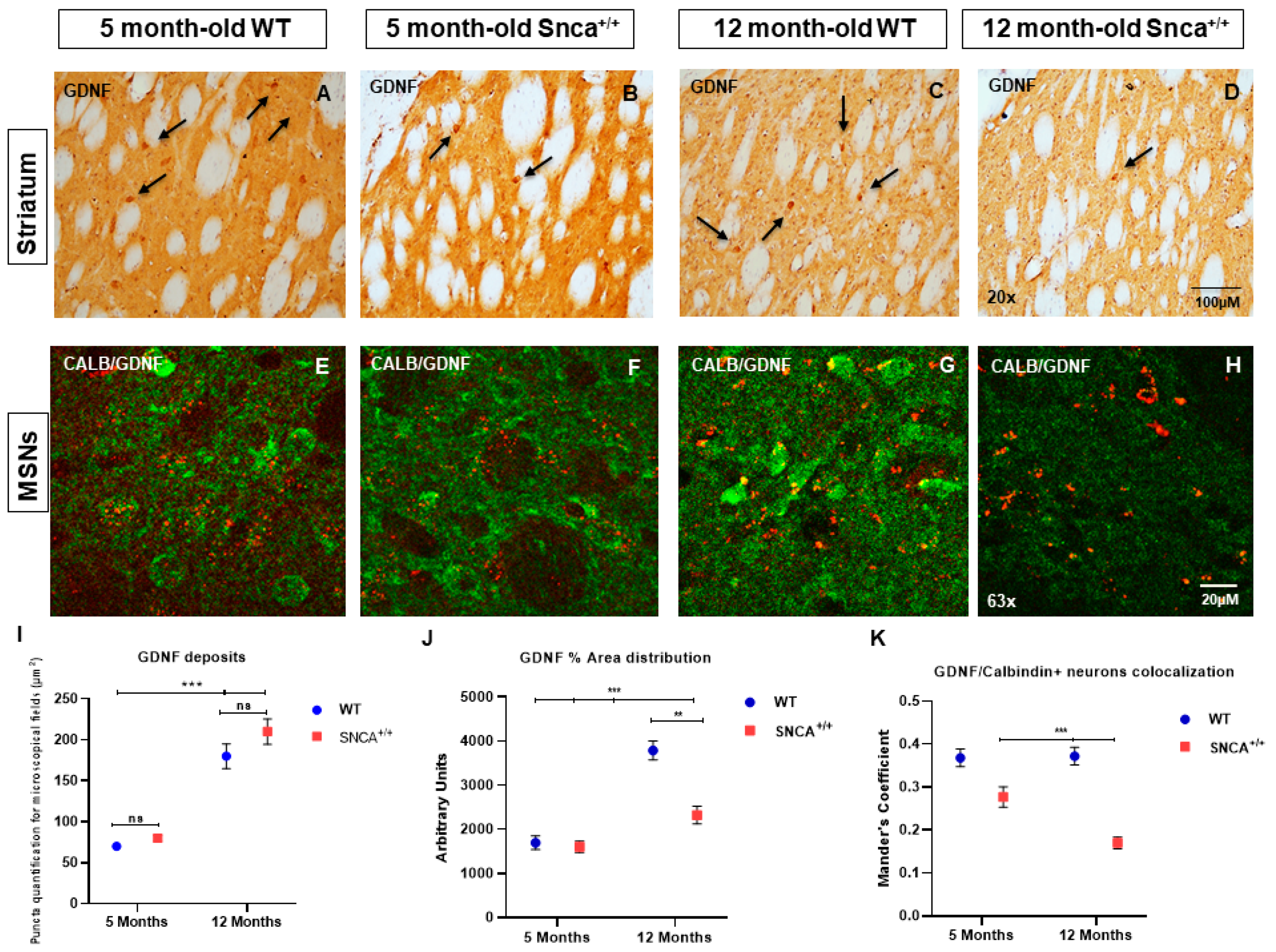 Ijms 23 10126 g004 Ijms 23 10126 g004
