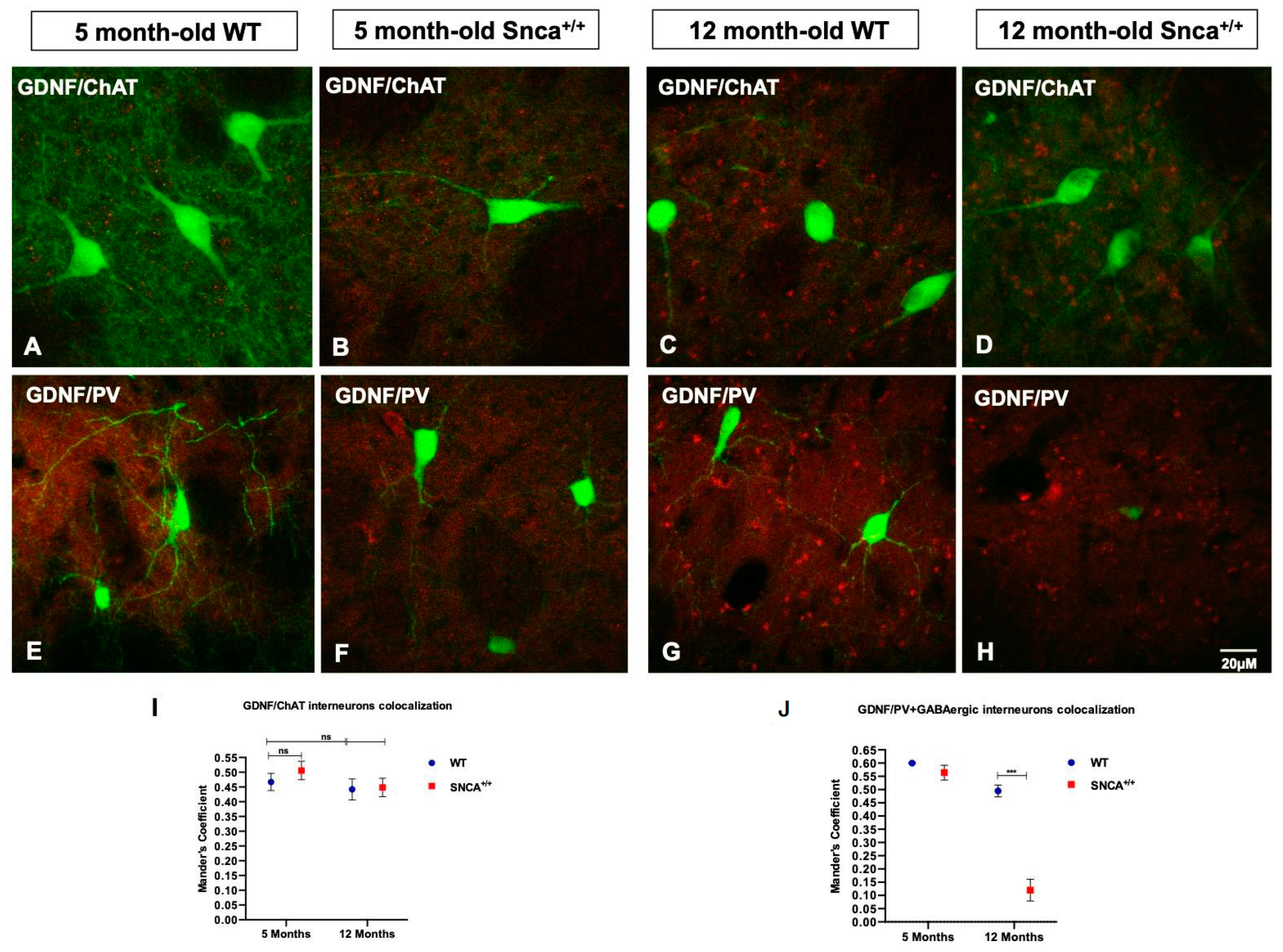 Ijms 23 10126 g005 Ijms 23 10126 g005