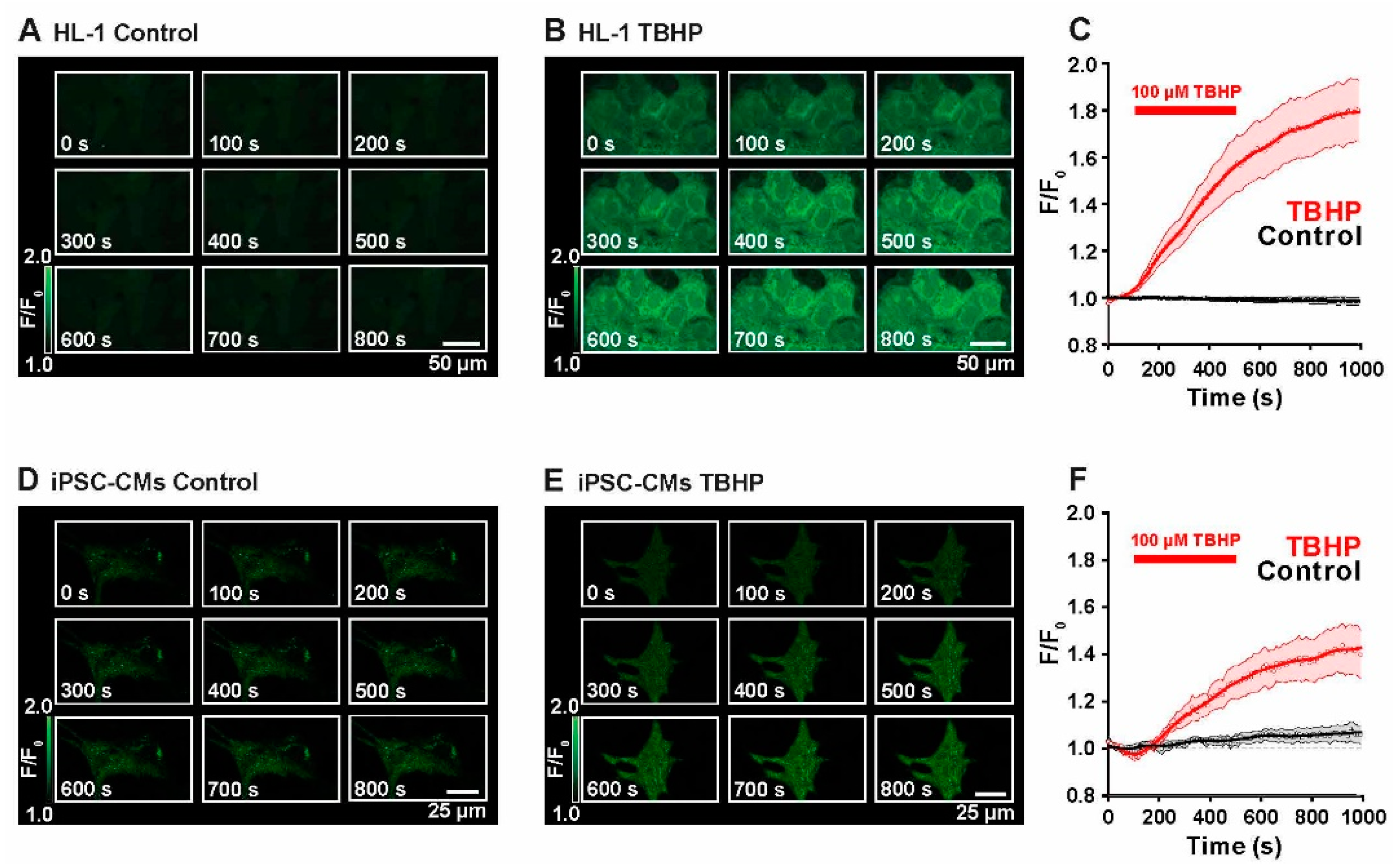 Ijms 23 10174 g001 Ijms 23 10174 g001