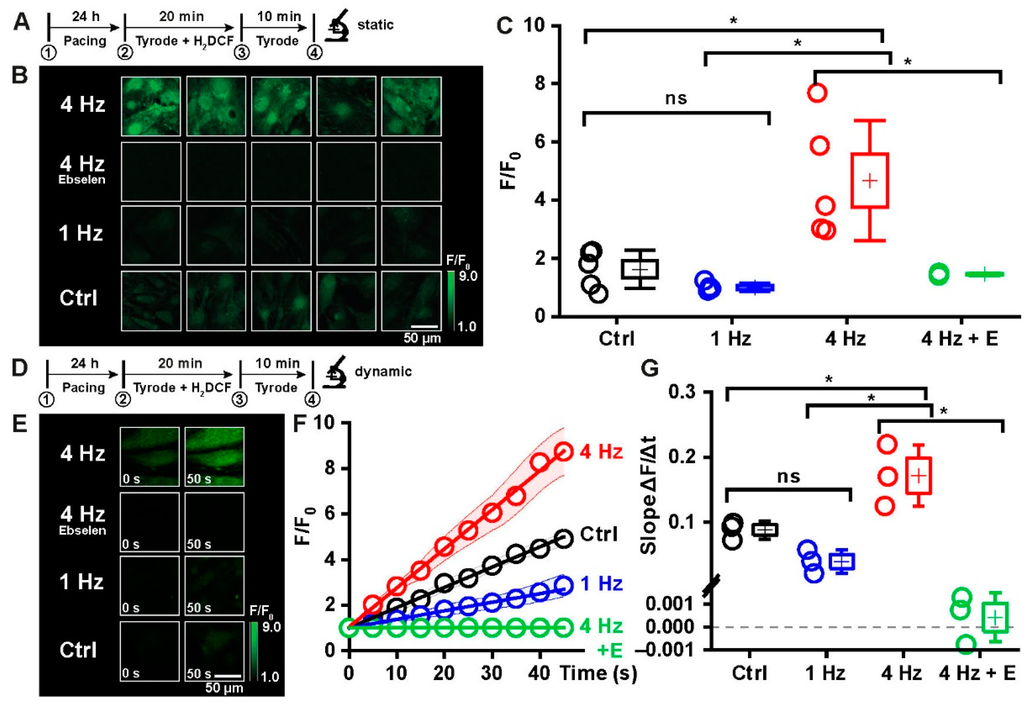Ijms 23 10174 g003 Ijms 23 10174 g003