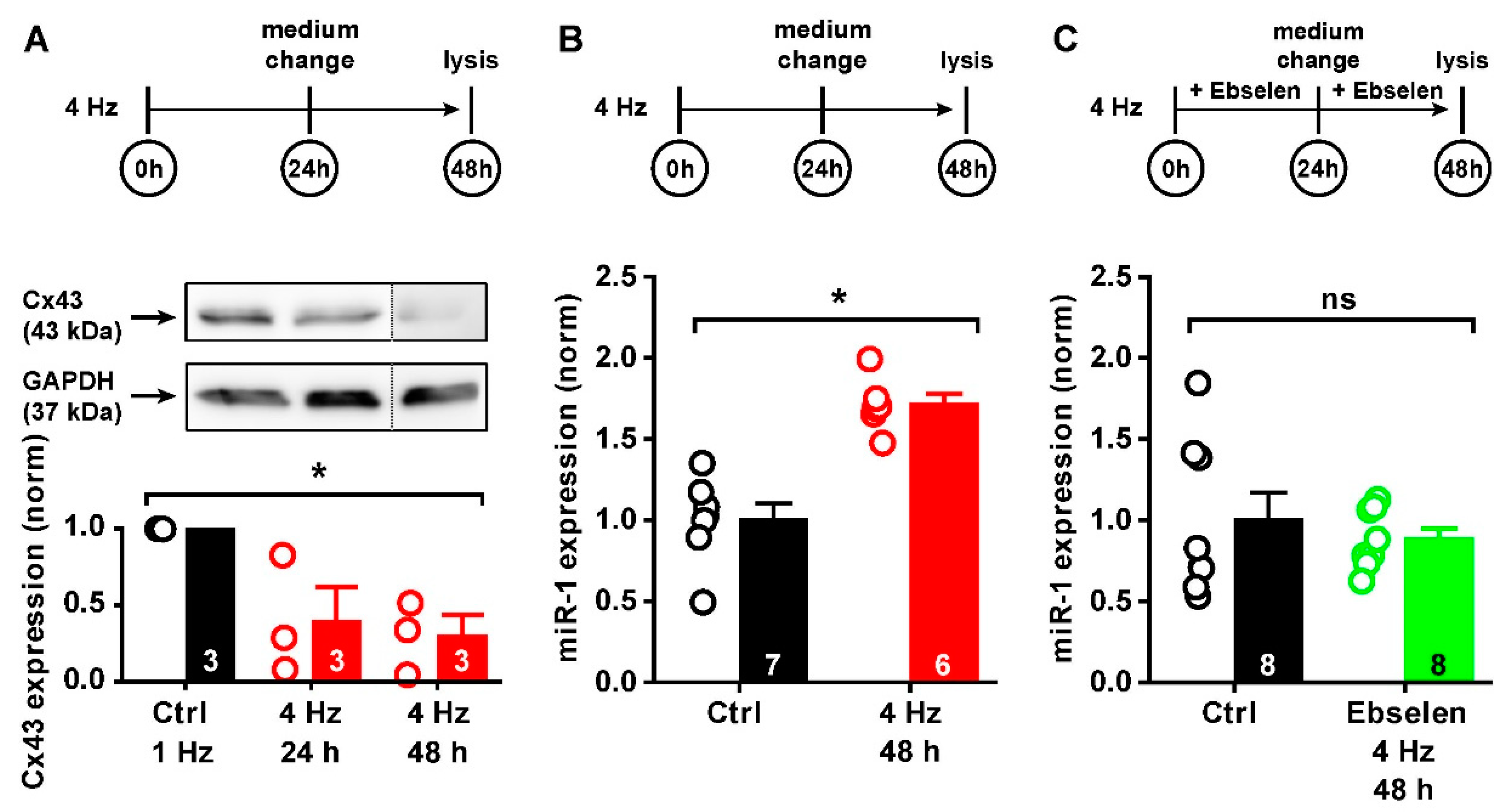 Ijms 23 10174 g004 Ijms 23 10174 g004