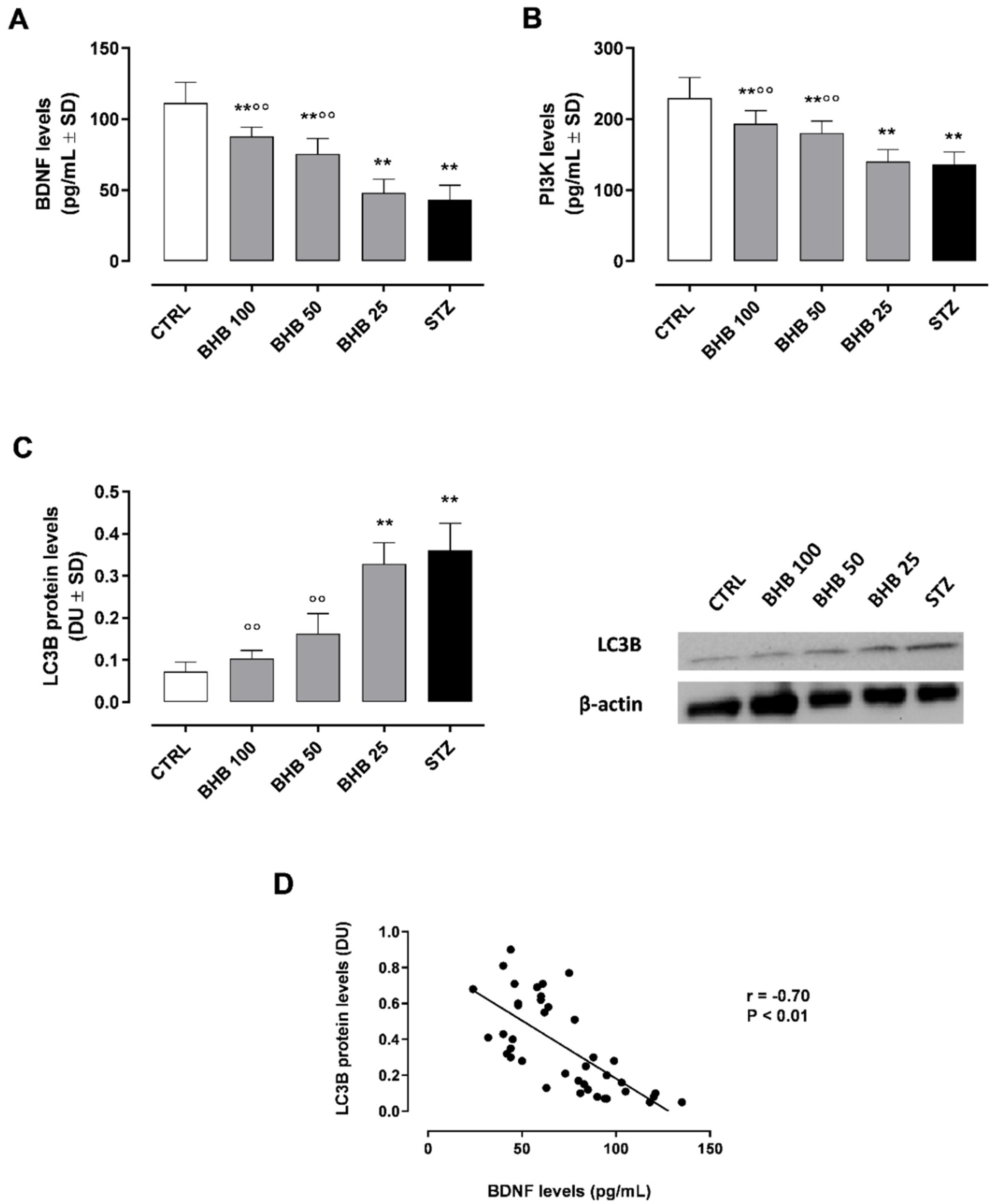 Ijms 23 10184 g001 Ijms 23 10184 g001
