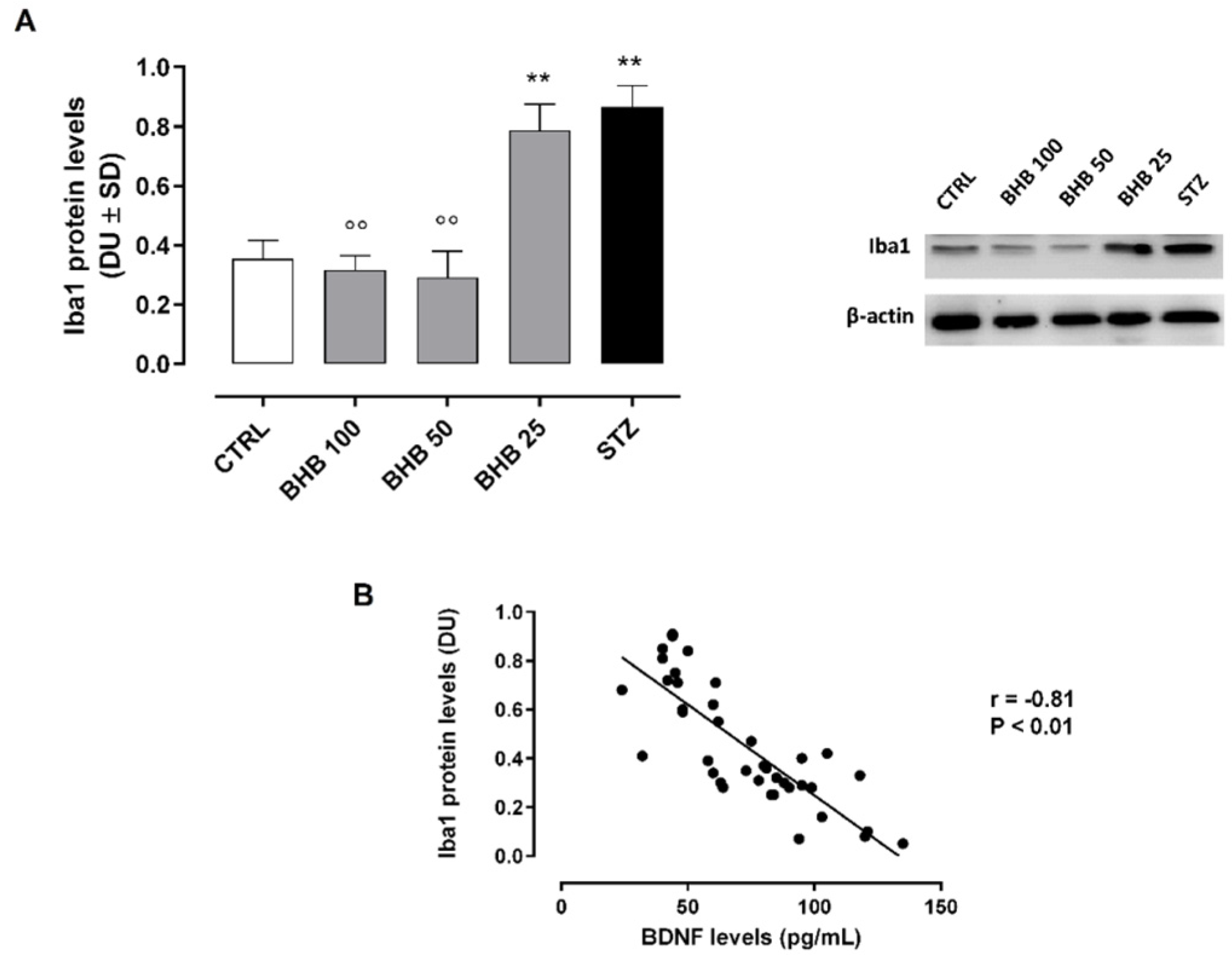 Ijms 23 10184 g004 Ijms 23 10184 g004