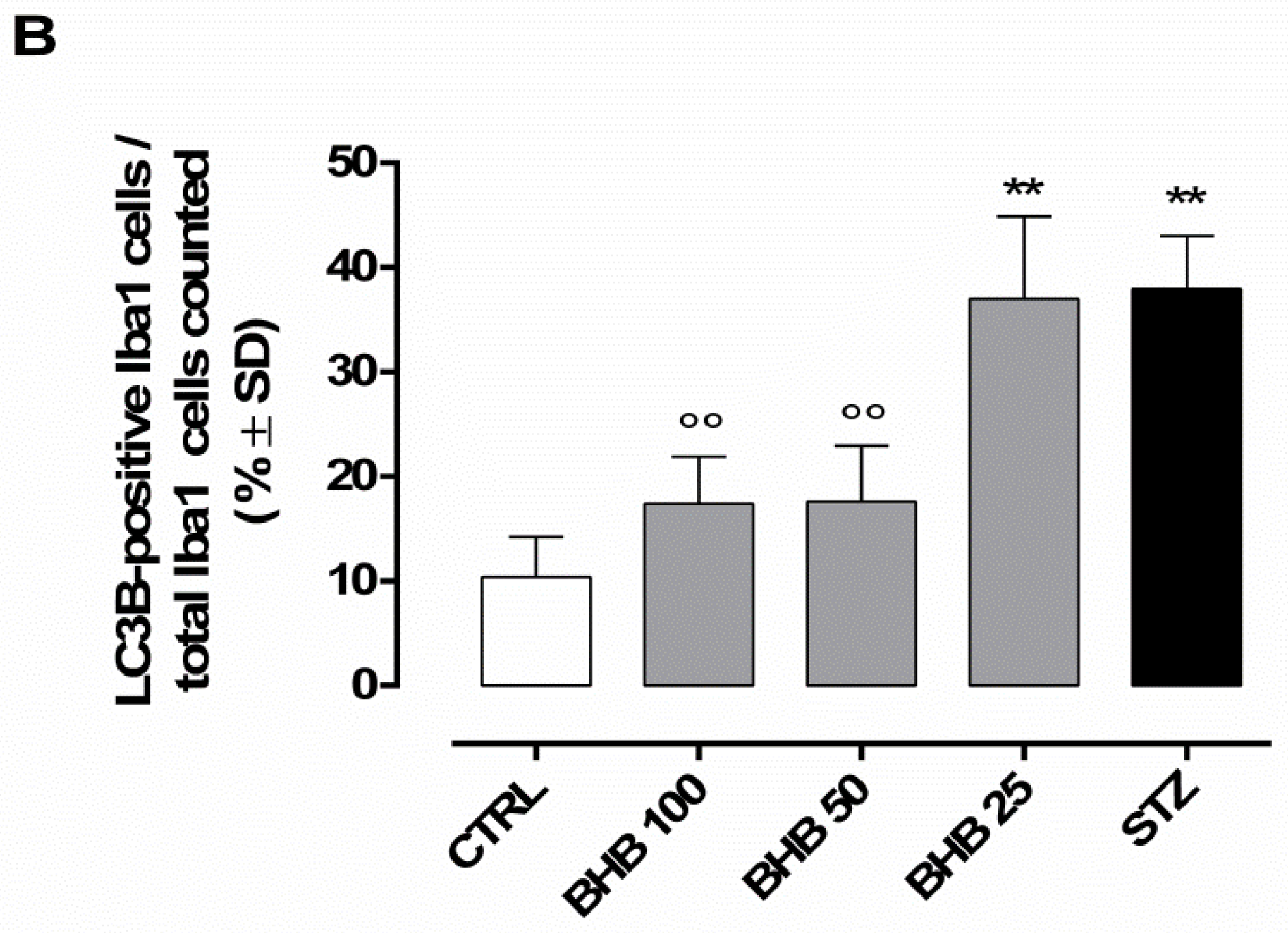 Ijms 23 10184 g005b Ijms 23 10184 g005b