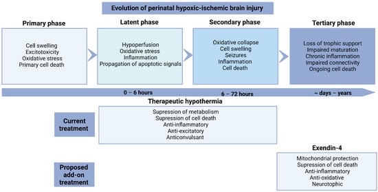 perinatal hypoxic ischemic encephalopathy