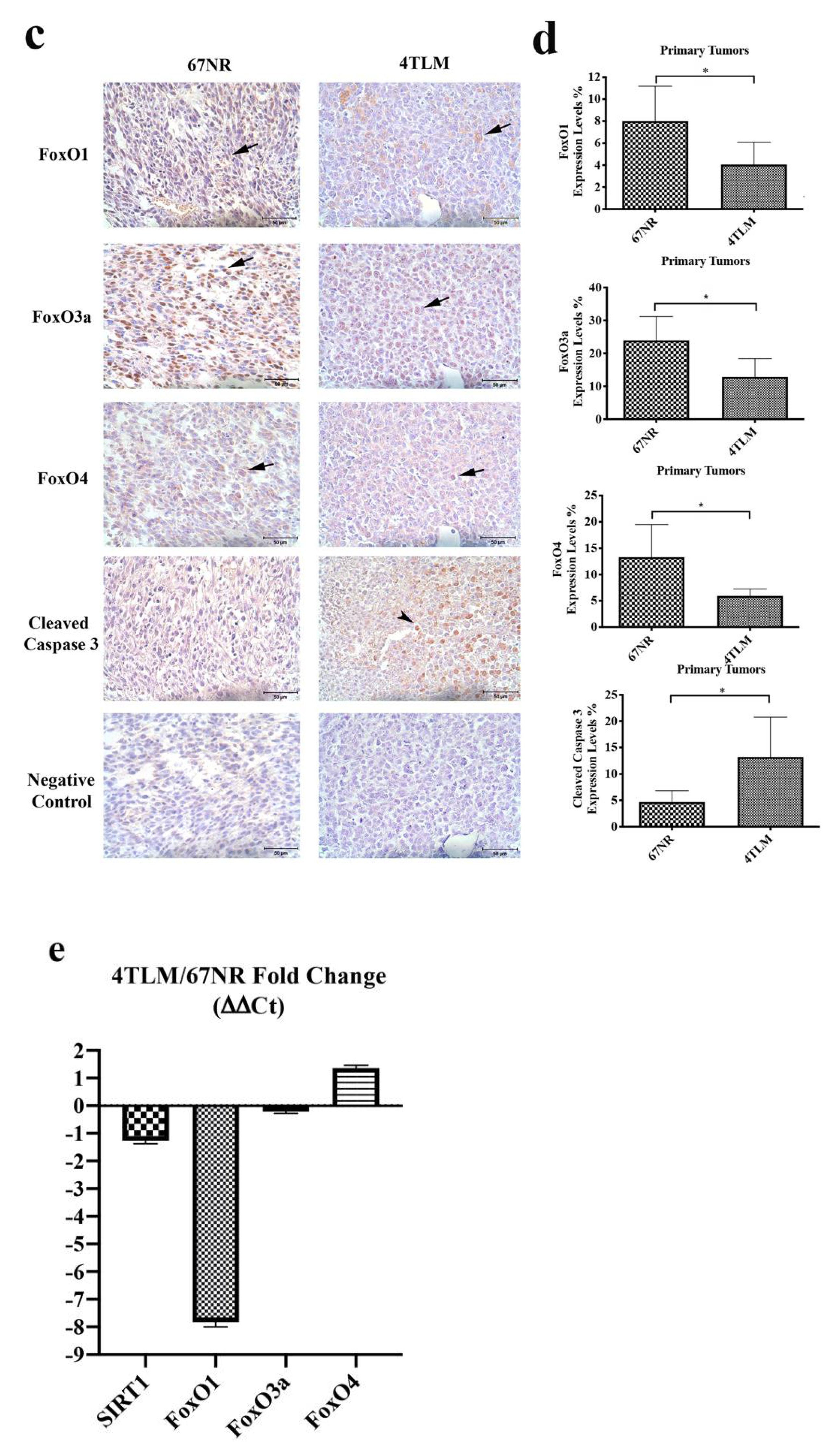 Ijms 23 10227 g002b Ijms 23 10227 g002b