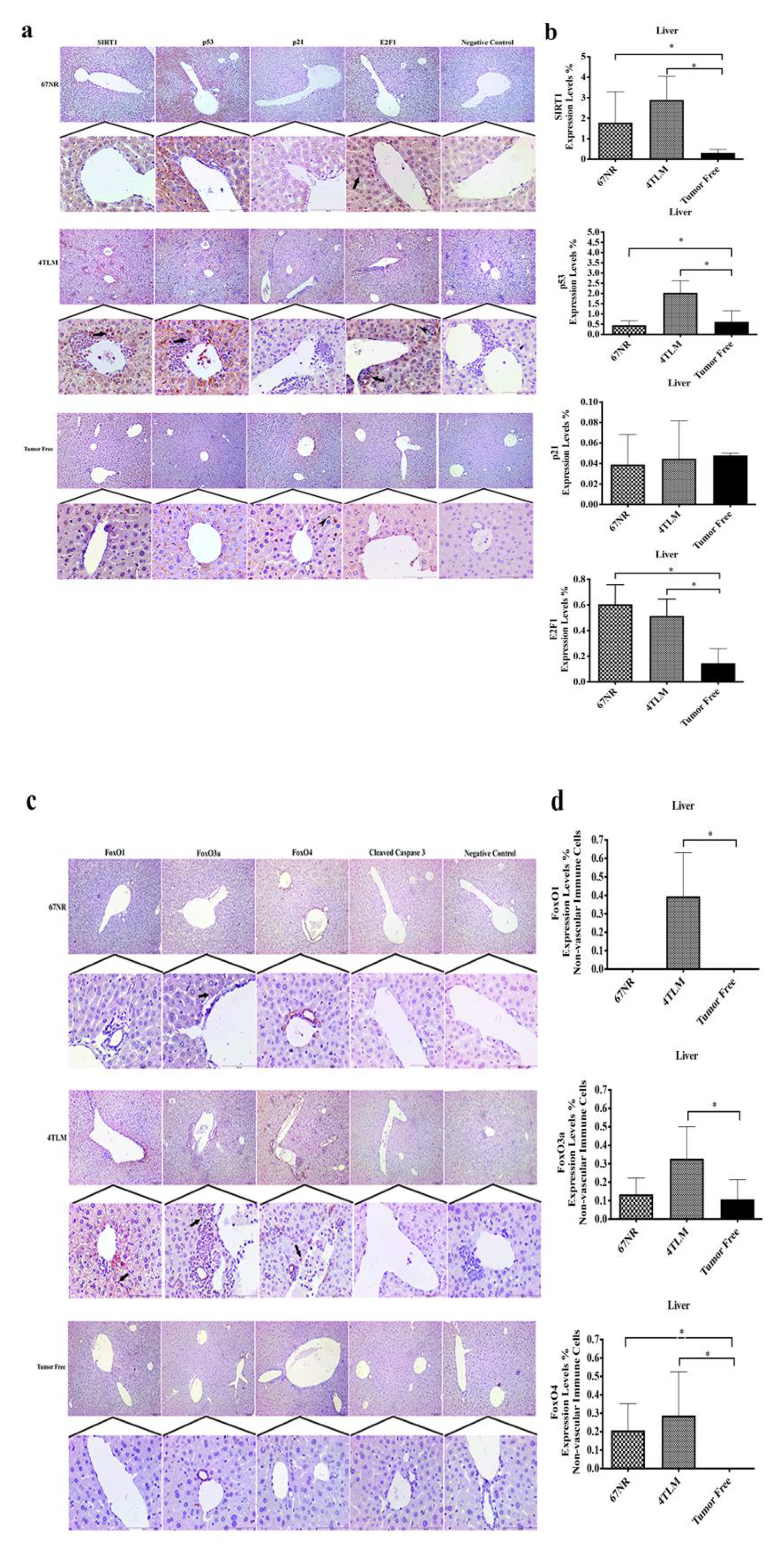 Ijms 23 10227 g003 Ijms 23 10227 g003