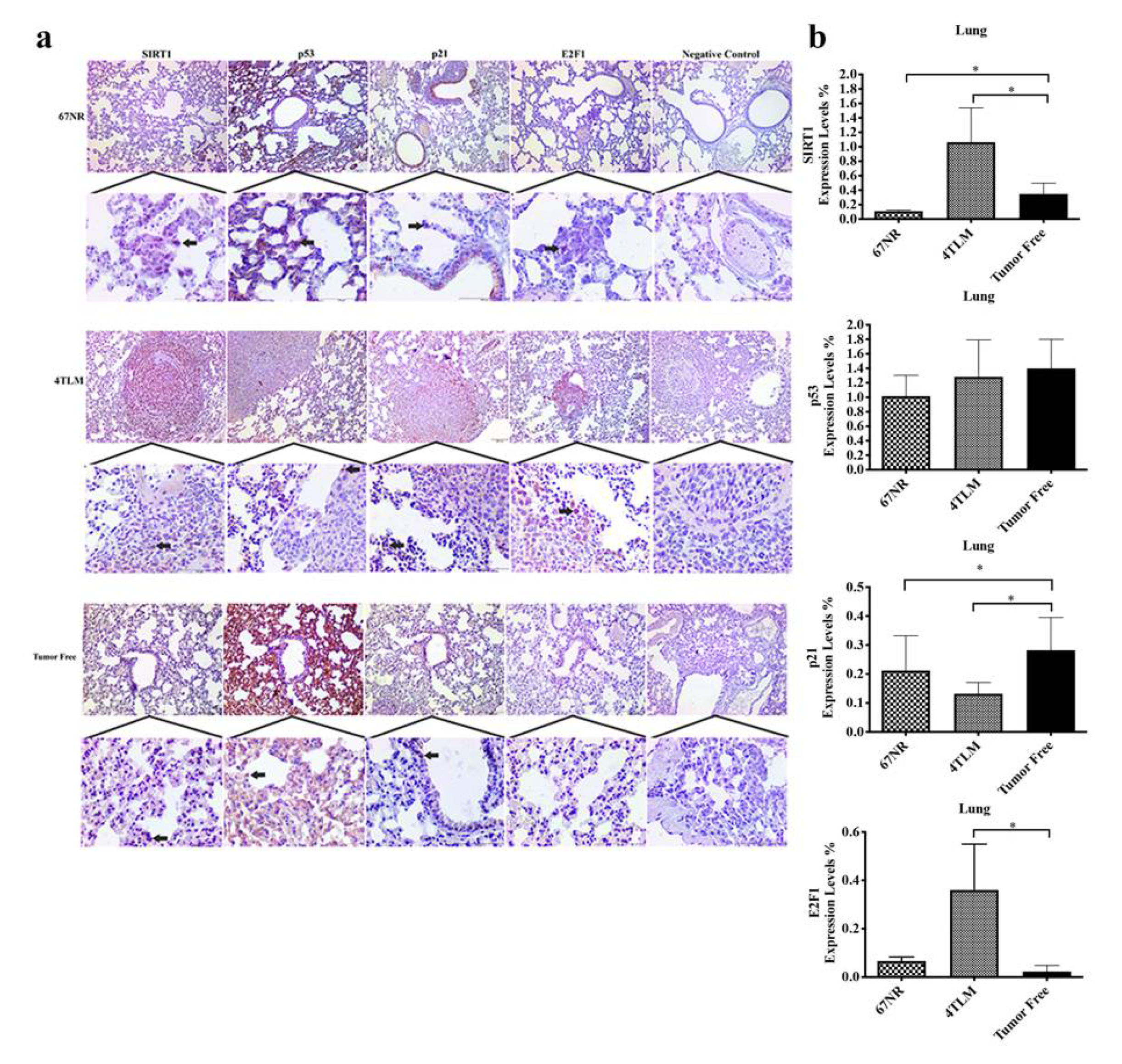 Ijms 23 10227 g004a Ijms 23 10227 g004a