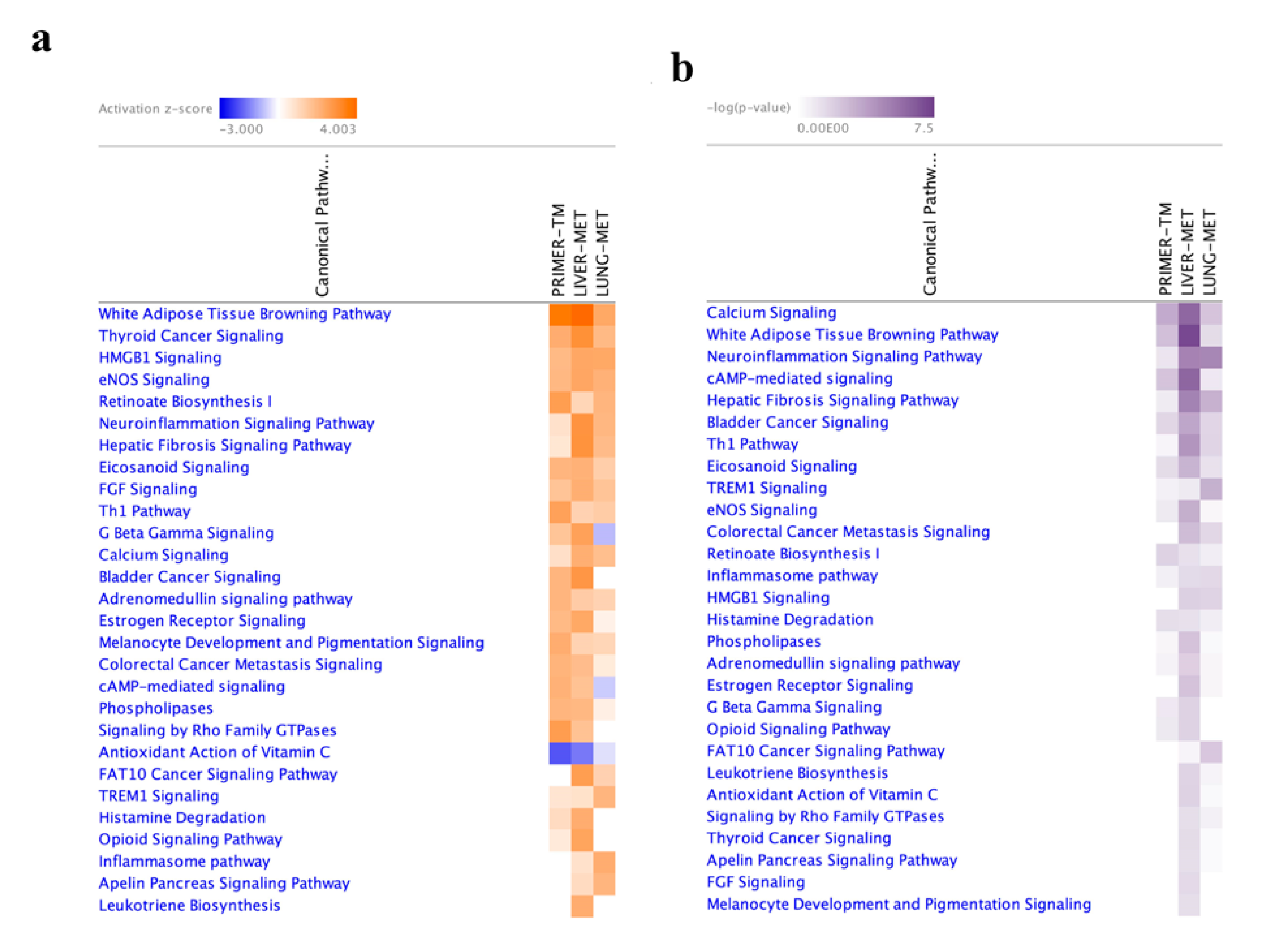 Ijms 23 10227 g005a Ijms 23 10227 g005a
