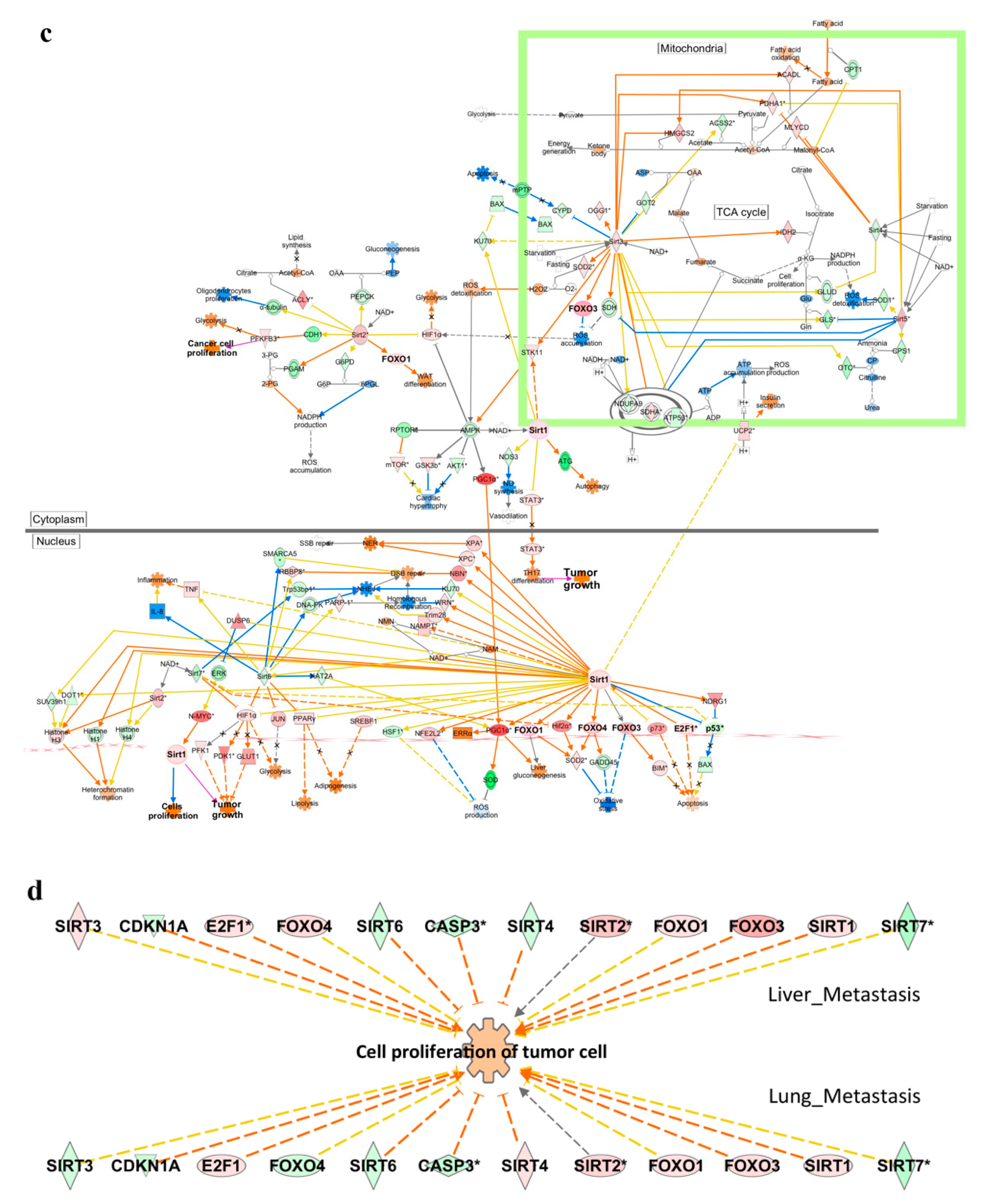 Ijms 23 10227 g005b Ijms 23 10227 g005b