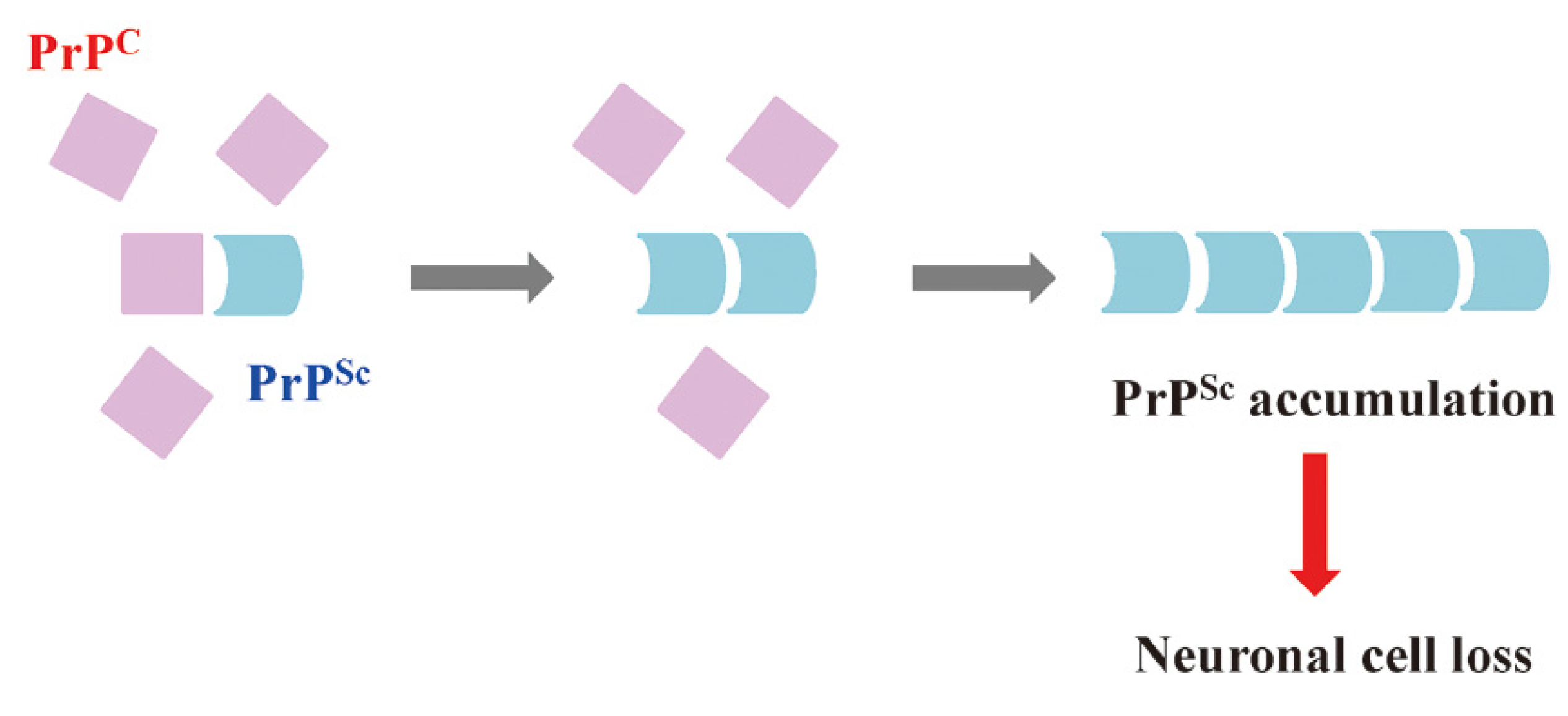 Ijms 23 10241 g002 Ijms 23 10241 g002