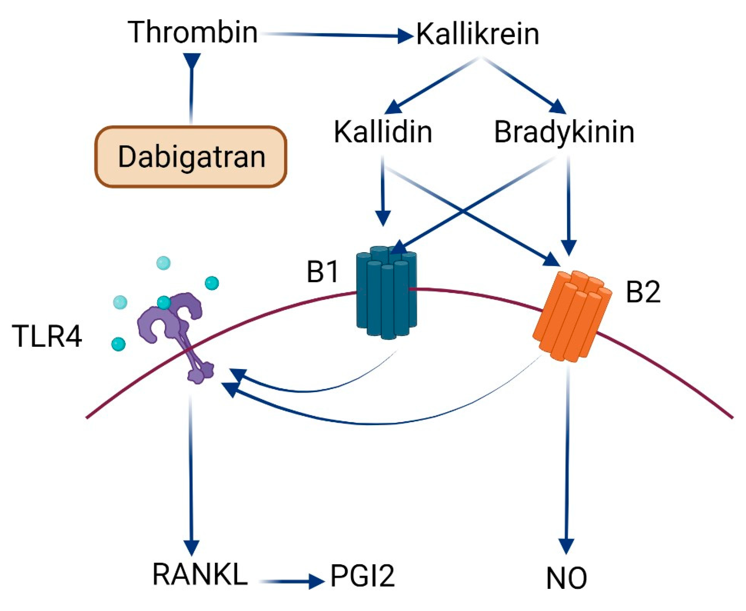 Ijms 23 10297 g006 Ijms 23 10297 g006
