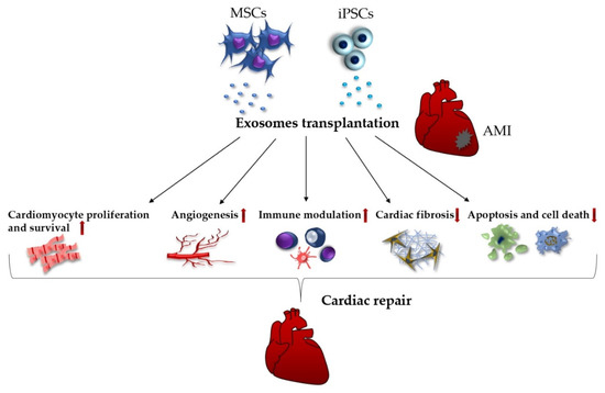 Innovative approach brings cell-reprogramming therapy for heart failure  closer to reality