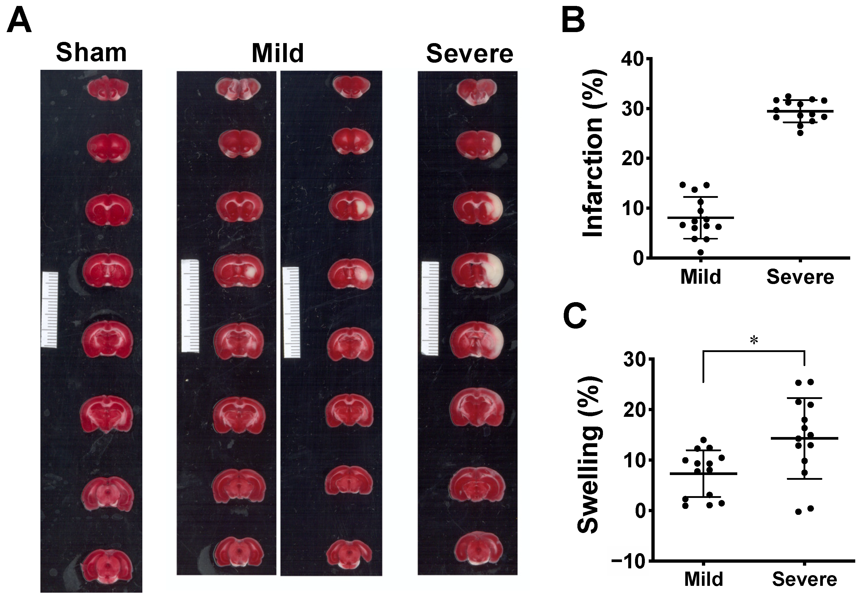 Ijms 23 10318 g002 Ijms 23 10318 g002