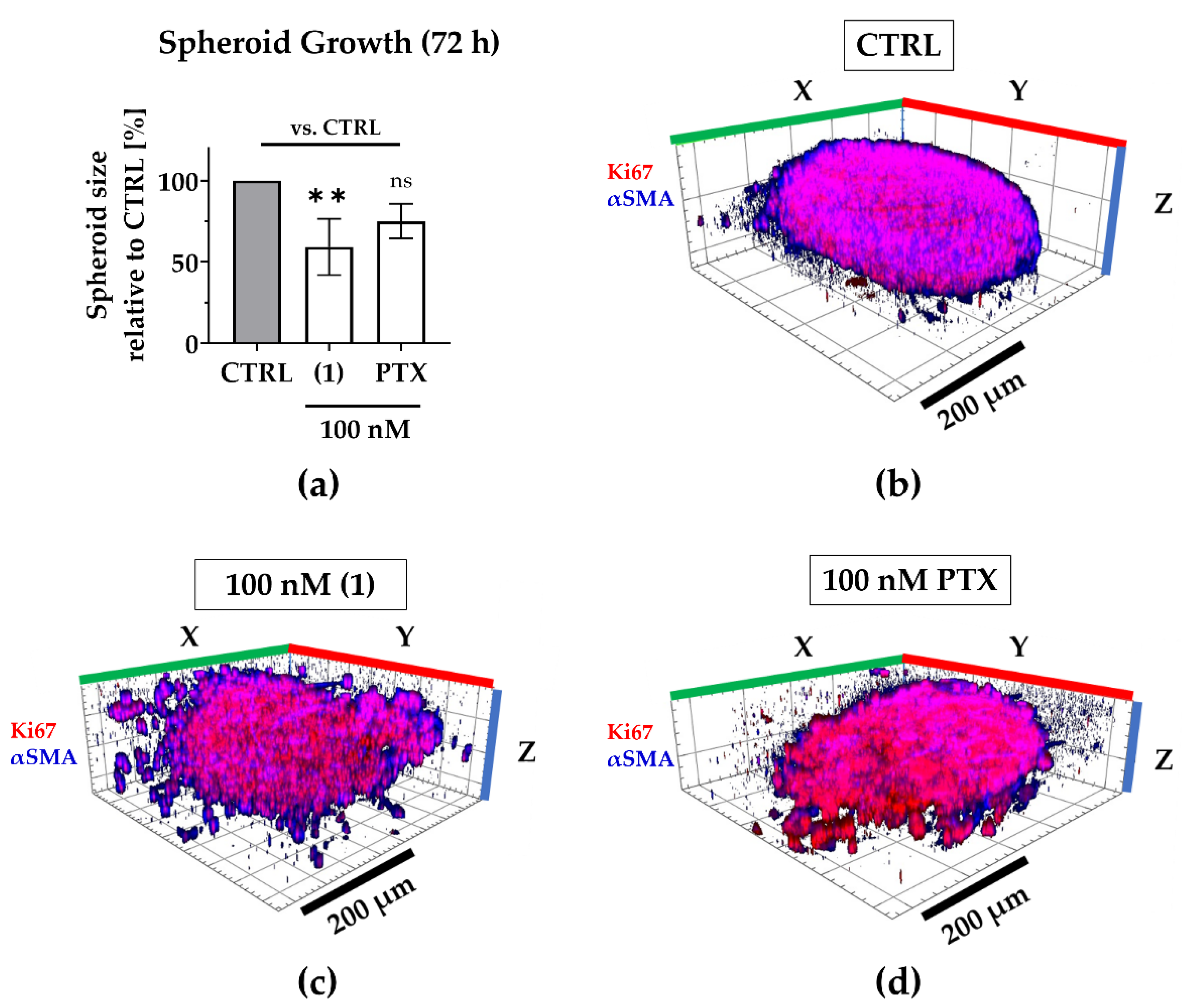 Ijms 23 10319 g005 Ijms 23 10319 g005