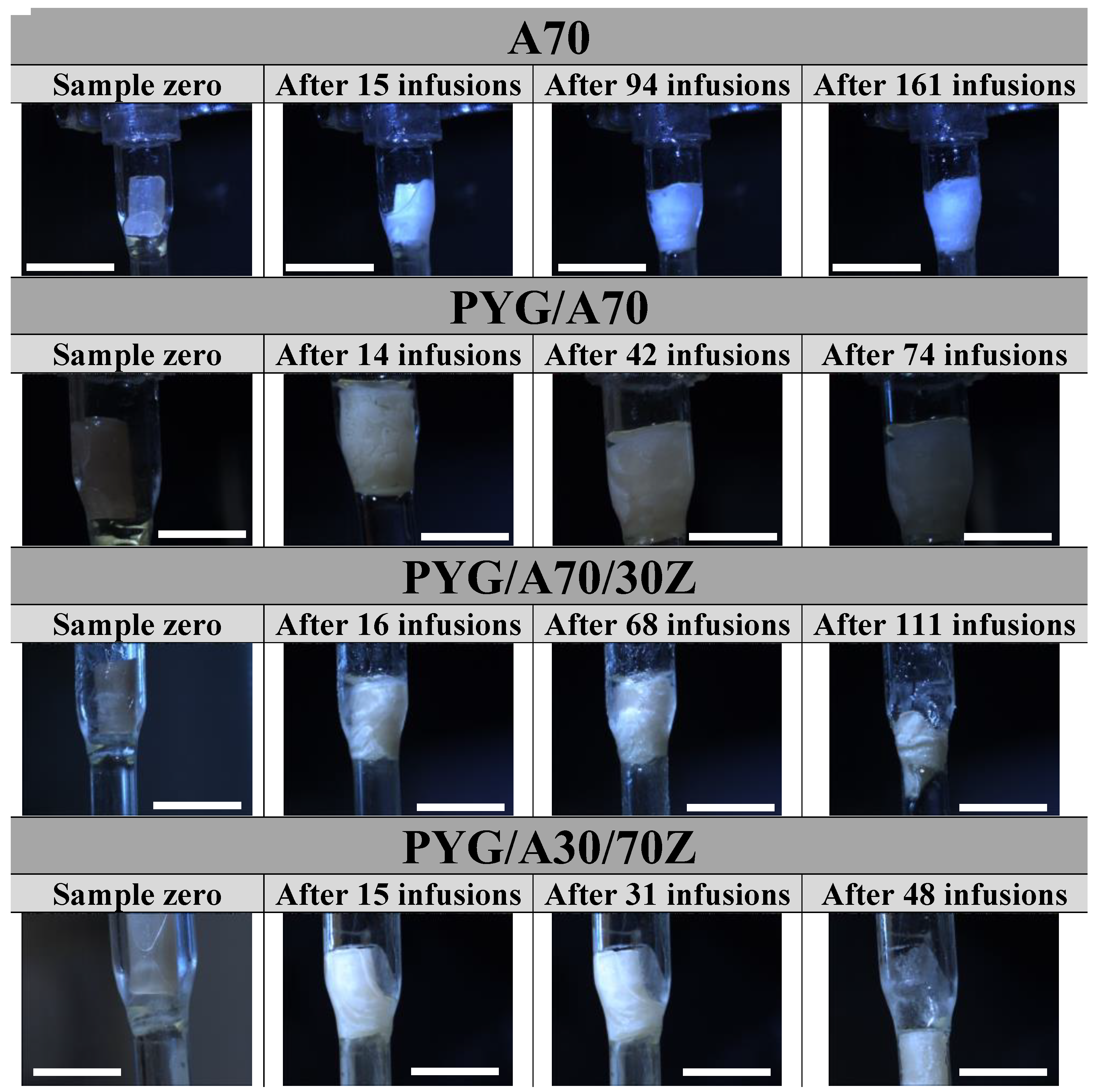 Ijms 23 10324 g003 Ijms 23 10324 g003