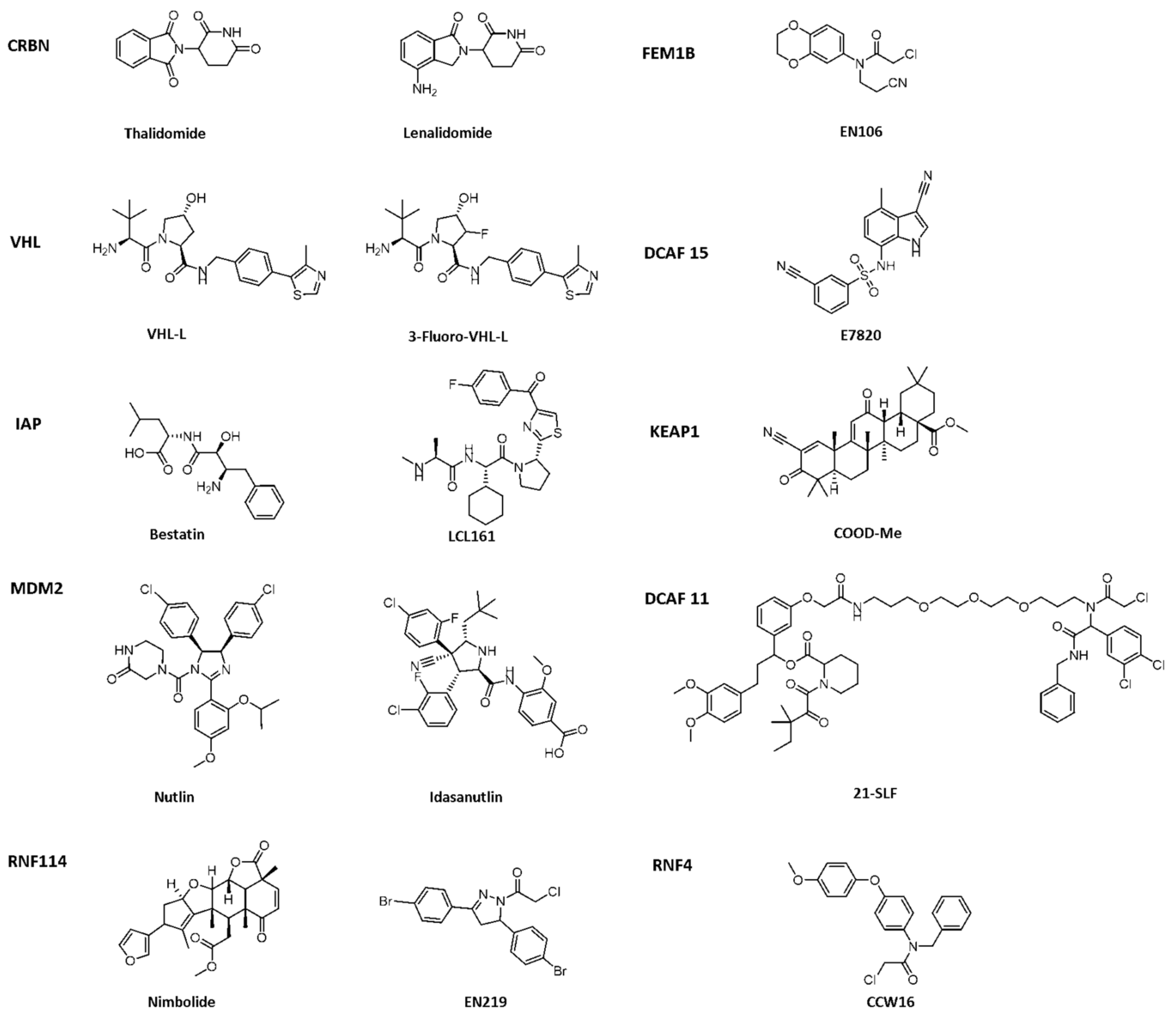 Ijms 23 10328 g002 Ijms 23 10328 g002