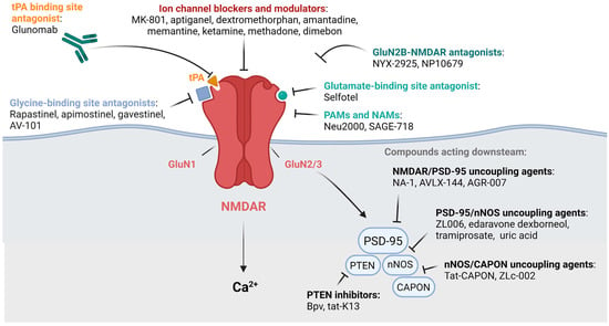 IJMS | Free Full-Text | Targeting NMDA Receptors at the Neurovascular Unit:  Past and Future Treatments for Central Nervous System Diseases