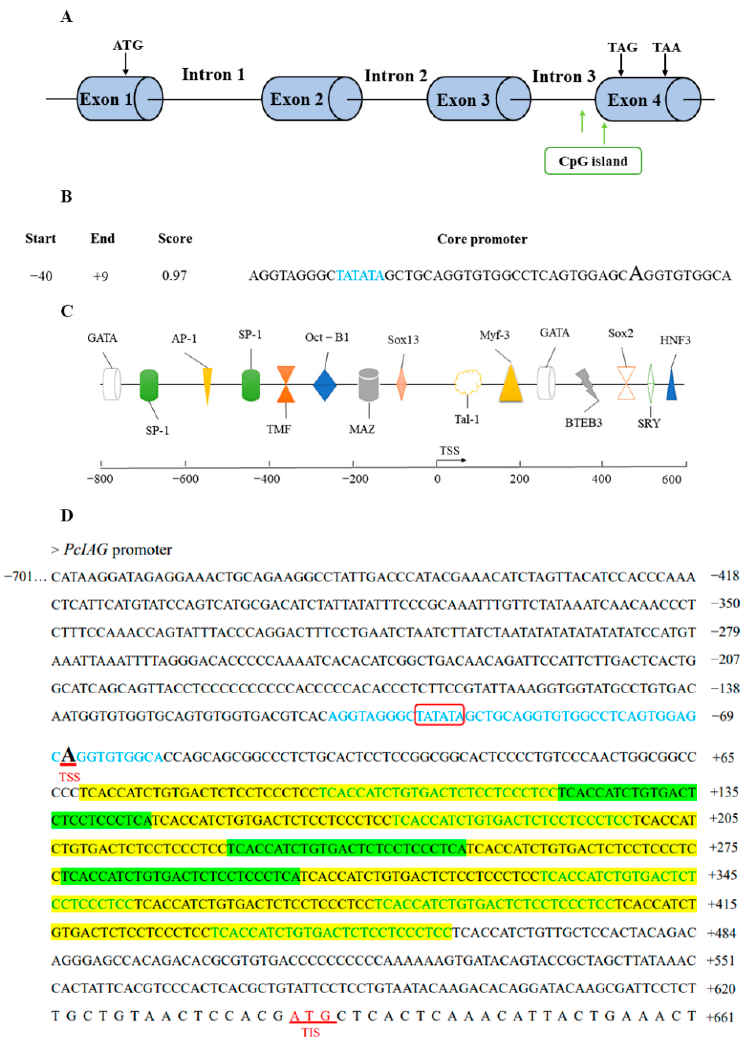 Analysis of DMC1 Knockdowns Generated by the In Vivo siRNA