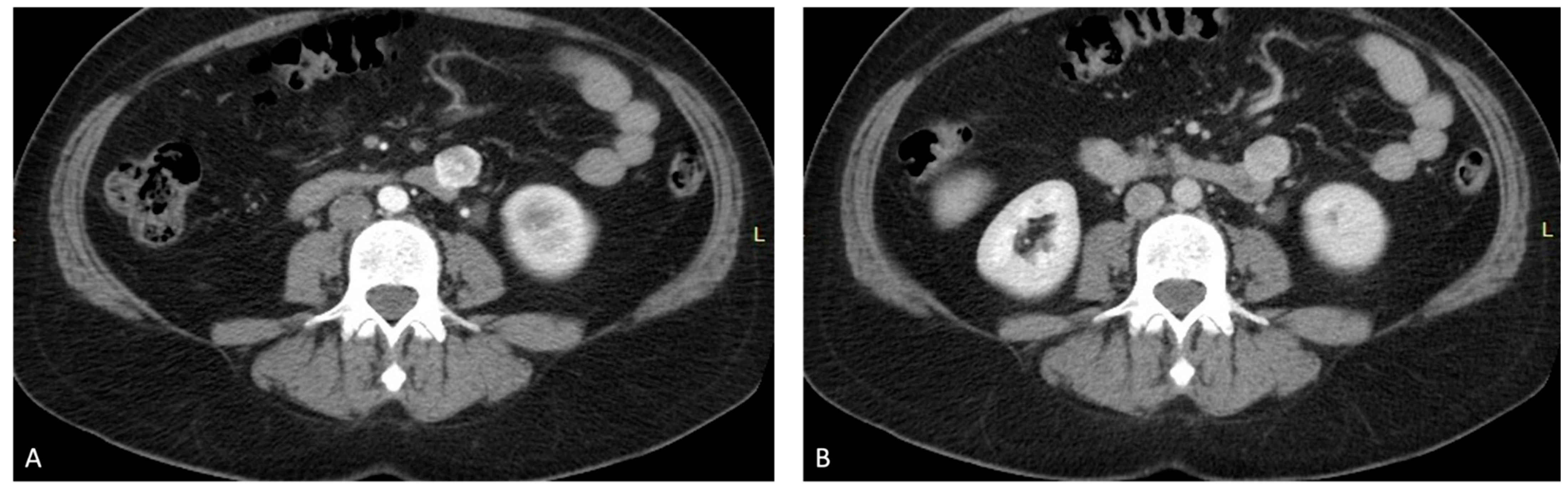 Ijms 23 10351 g002 Ijms 23 10351 g002