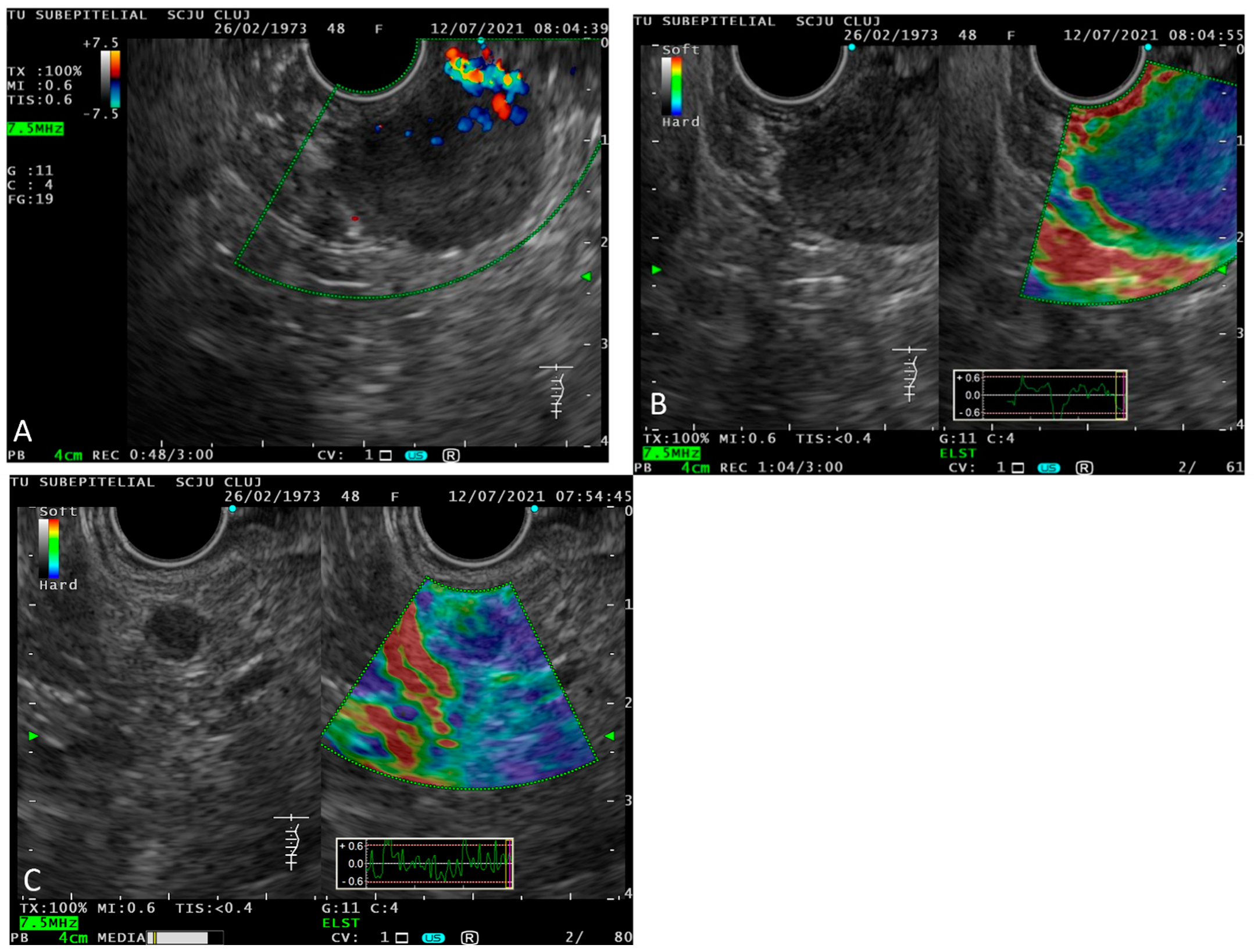 Ijms 23 10351 g004 Ijms 23 10351 g004