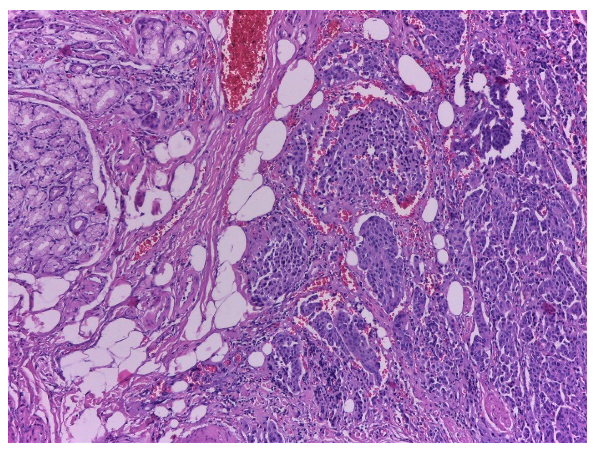 Ijms 23 10351 g006 Ijms 23 10351 g006