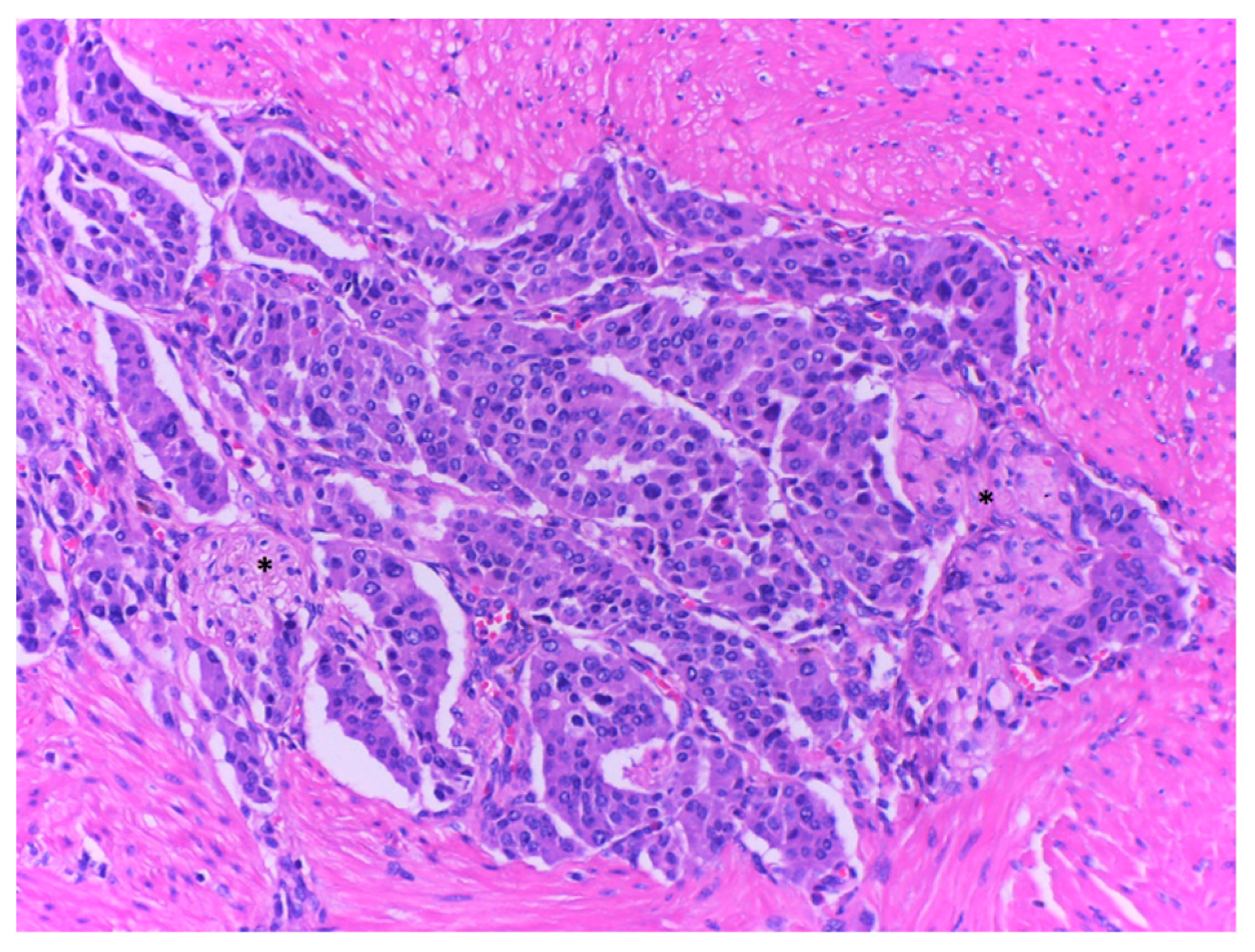 Ijms 23 10351 g008 Ijms 23 10351 g008