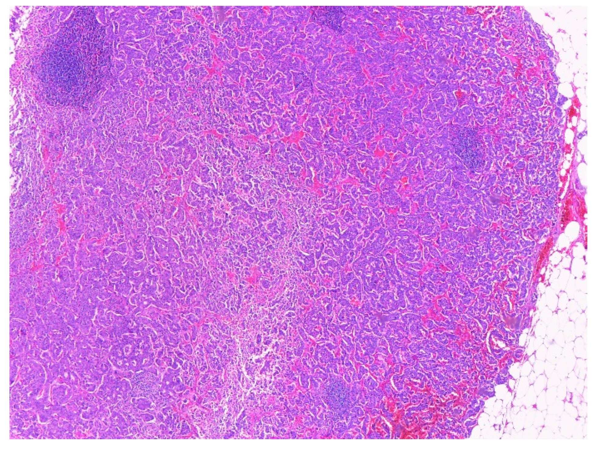 Ijms 23 10351 g010 Ijms 23 10351 g010