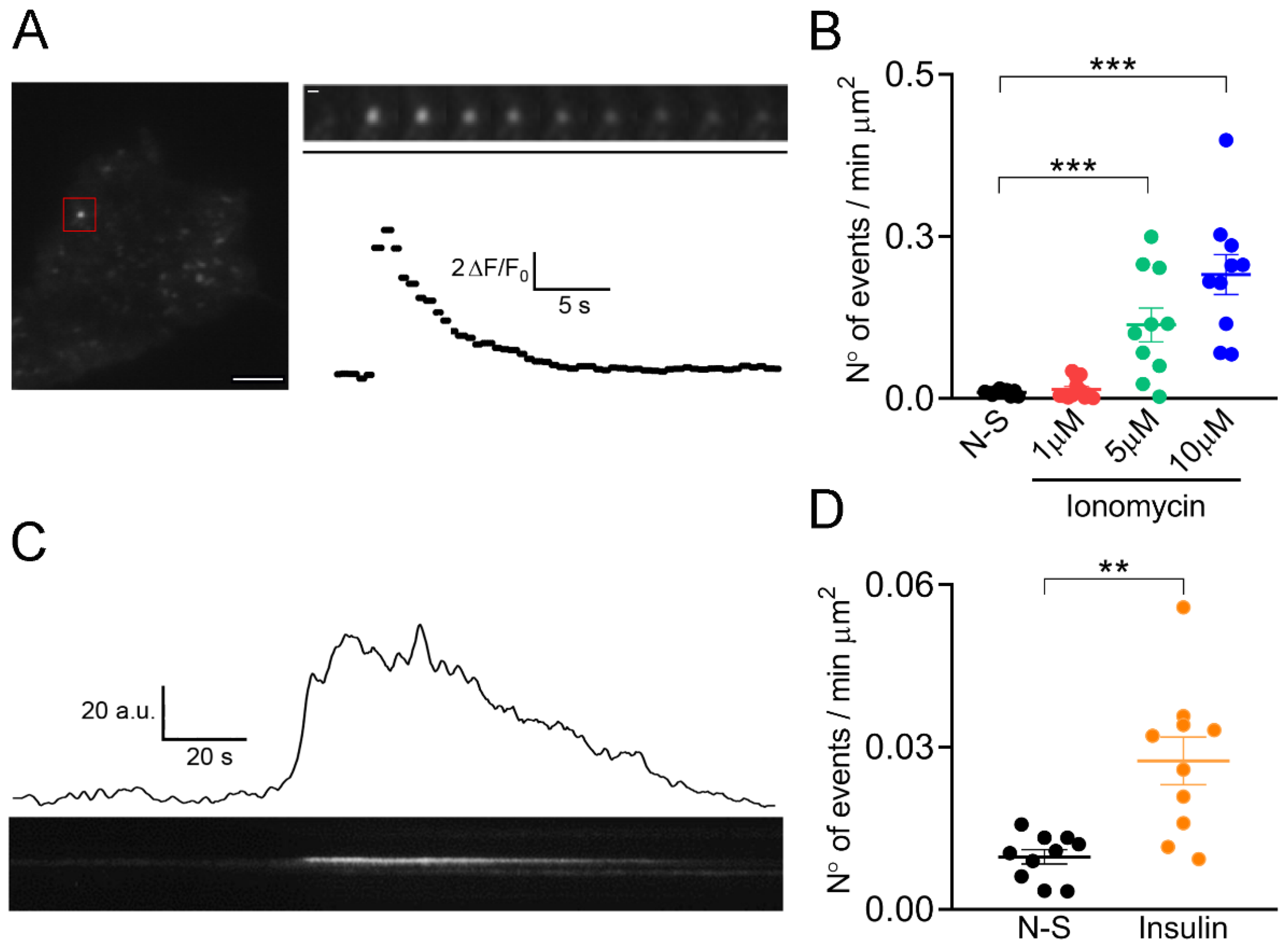 Ijms 23 10363 g001 Ijms 23 10363 g001