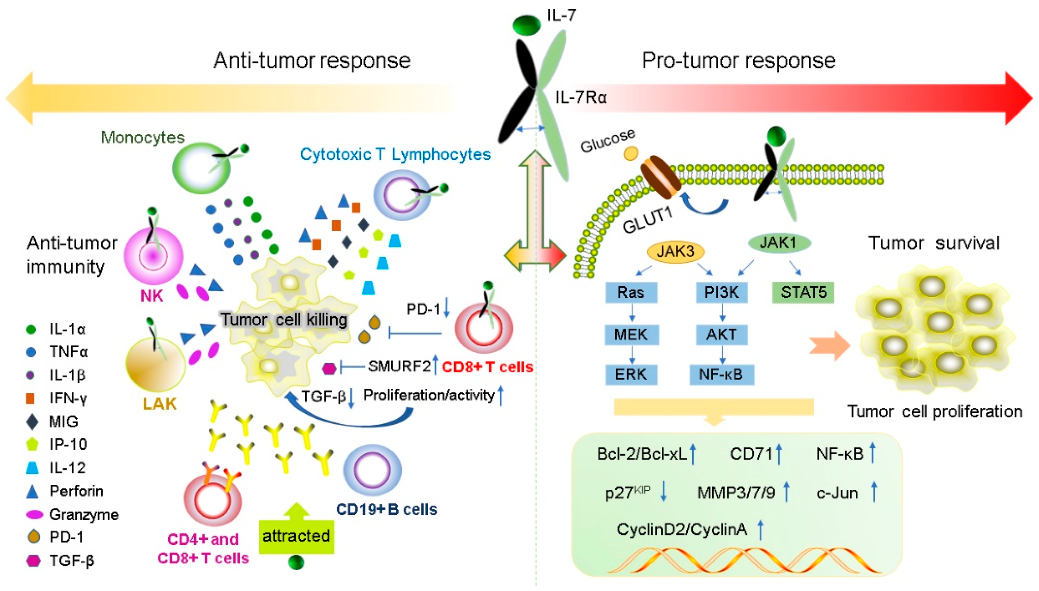 Ijms 23 10412 g002 Ijms 23 10412 g002