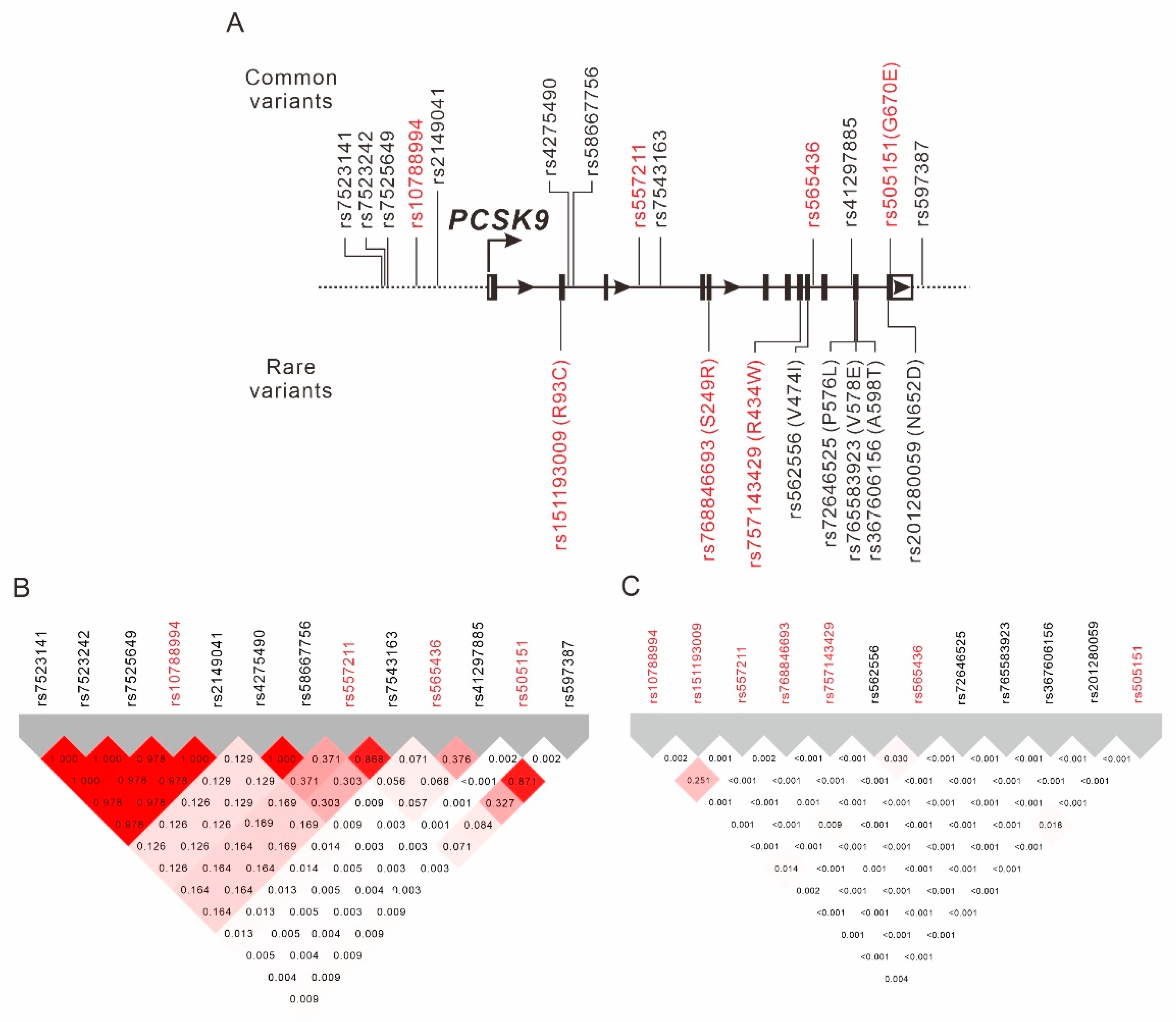 Ijms 23 10418 g003 Ijms 23 10418 g003