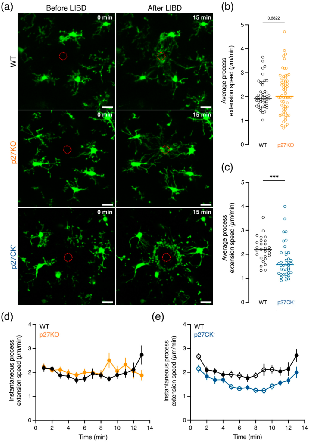 Ijms 23 10432 g005 Ijms 23 10432 g005
