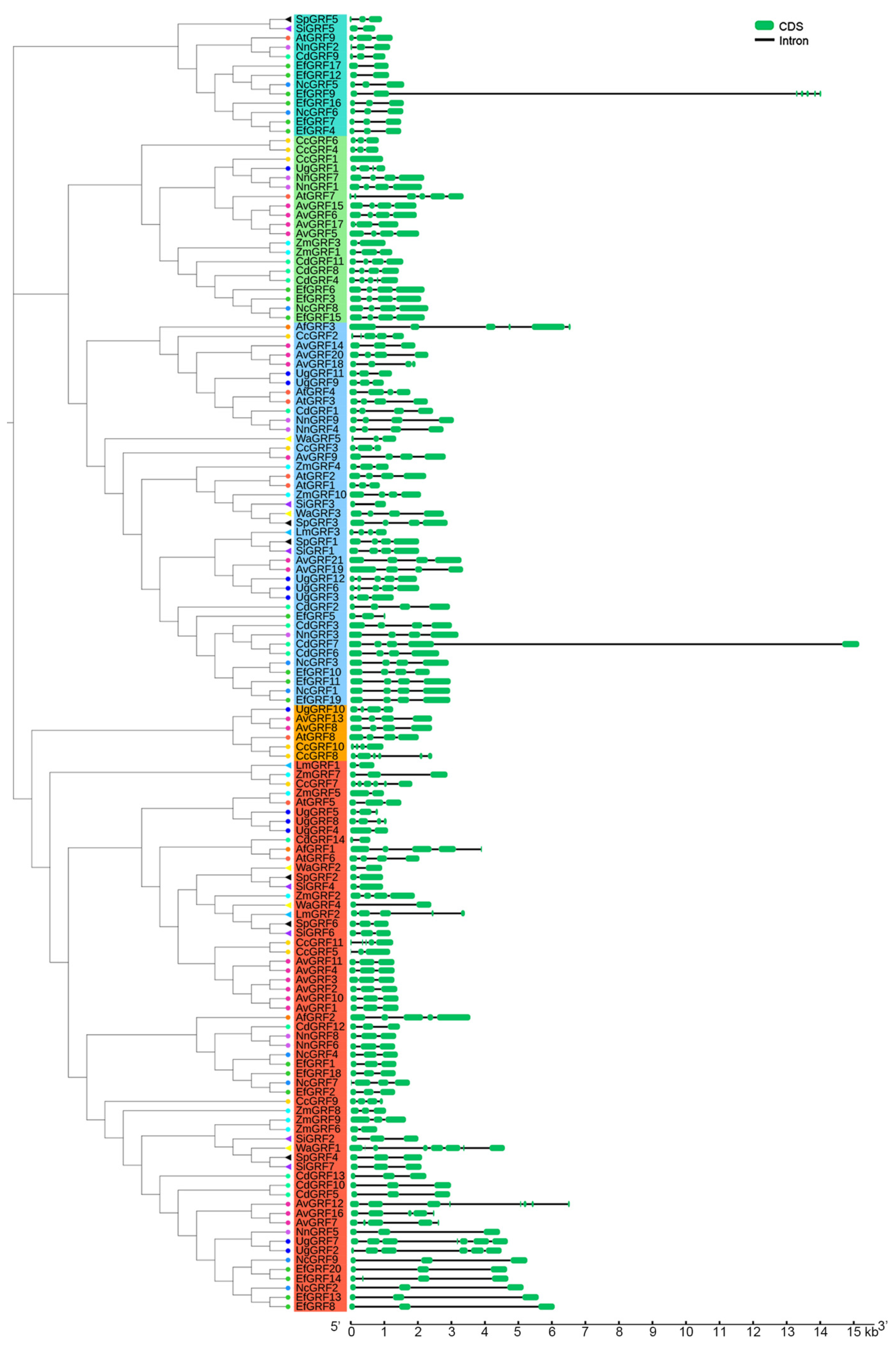Ijms 23 10485 g003 Ijms 23 10485 g003