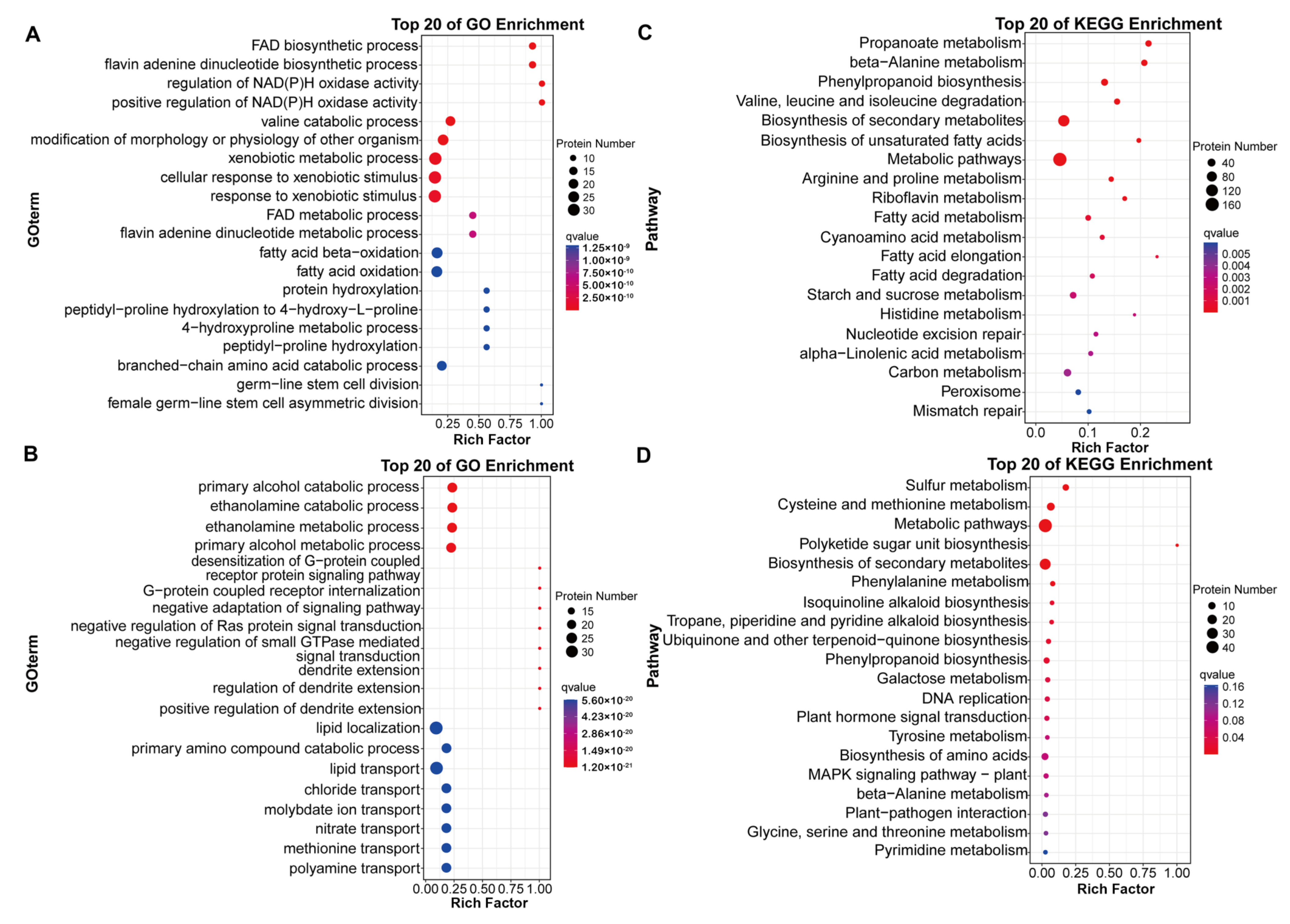 Ijms 23 10515 g003 Ijms 23 10515 g003