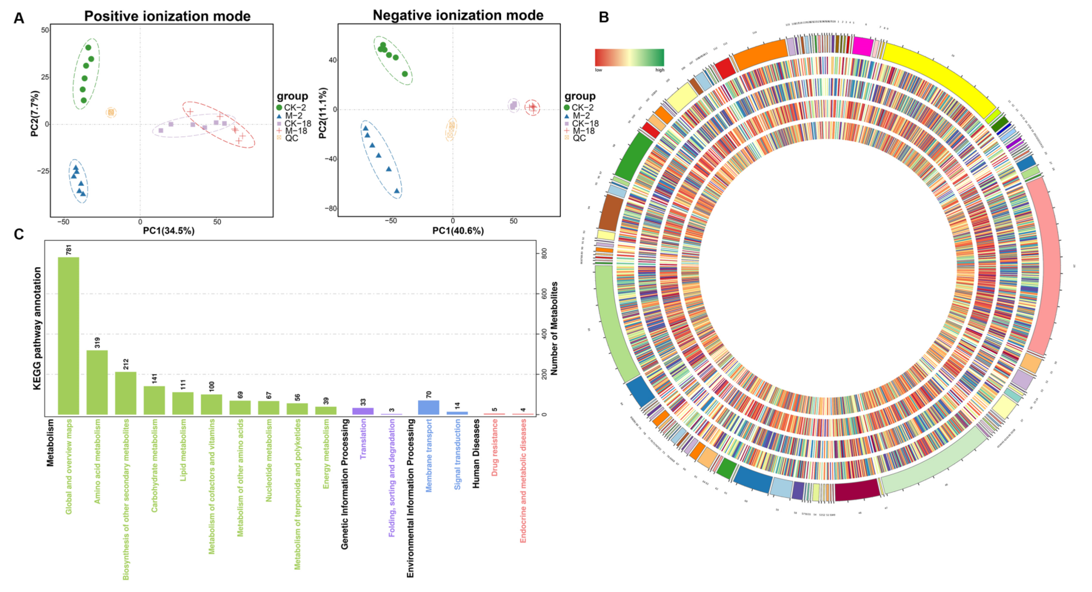Ijms 23 10515 g004 Ijms 23 10515 g004