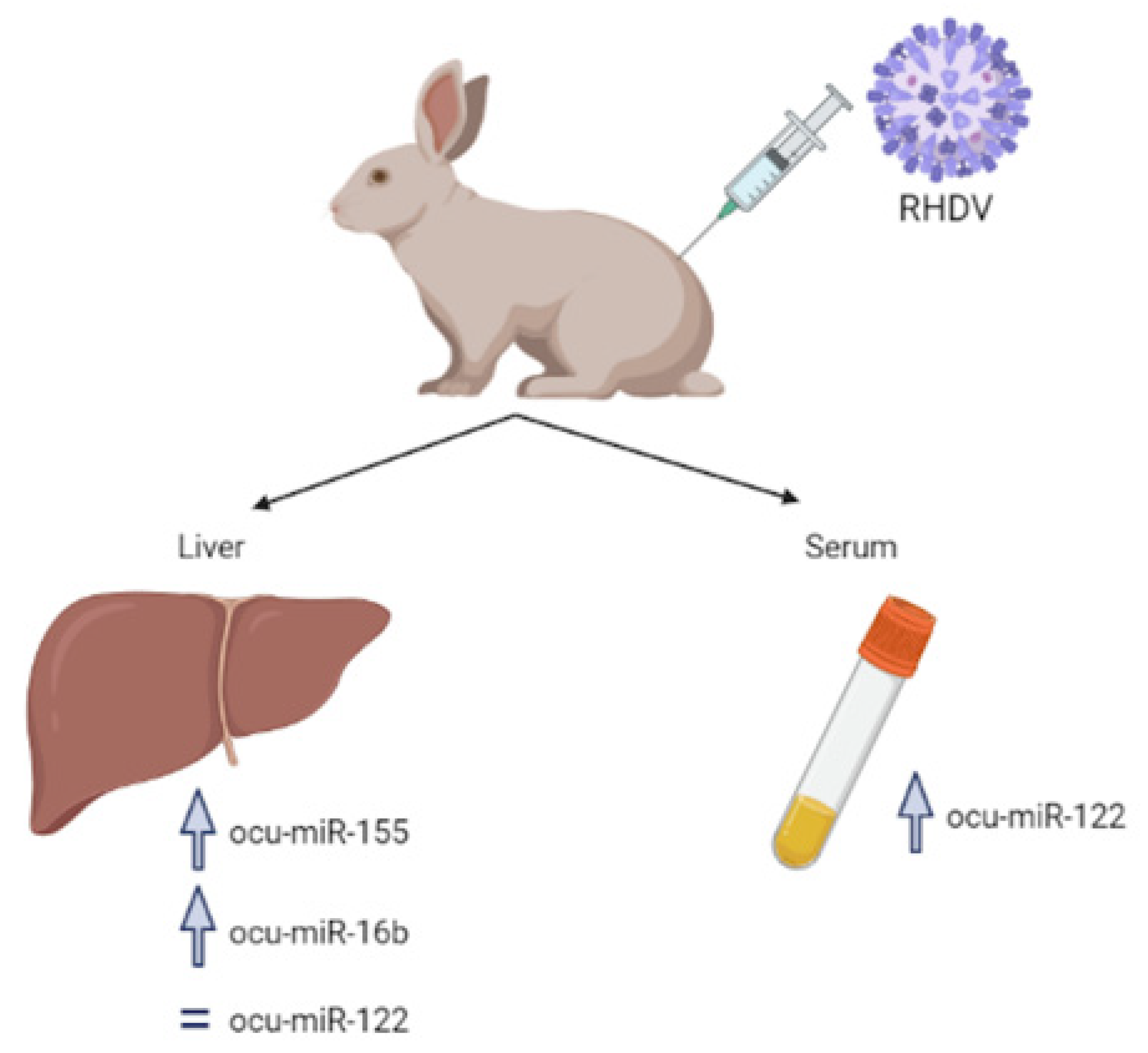 Ijms 23 10536 g003 Ijms 23 10536 g003