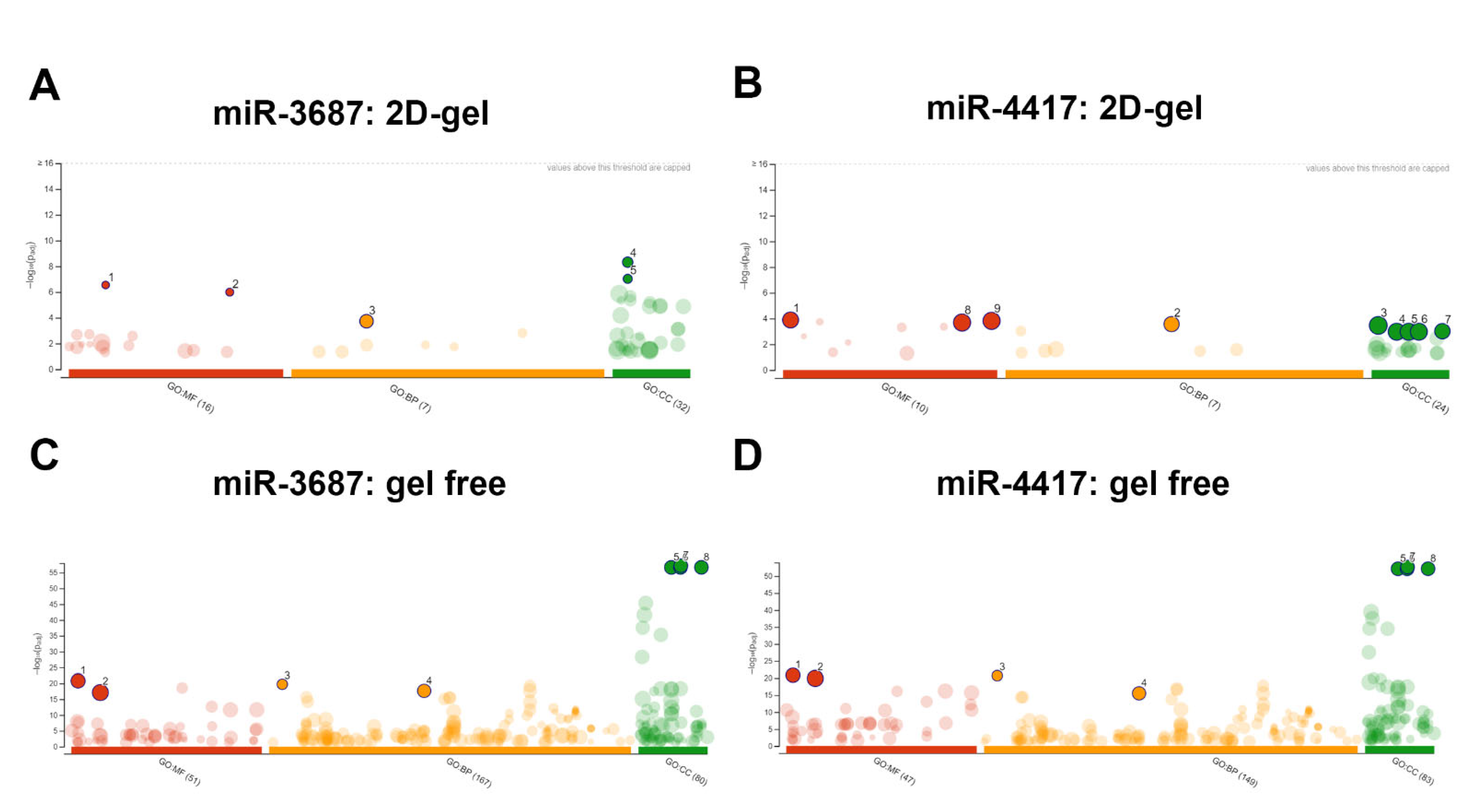 Ijms 23 10565 g005 Ijms 23 10565 g005