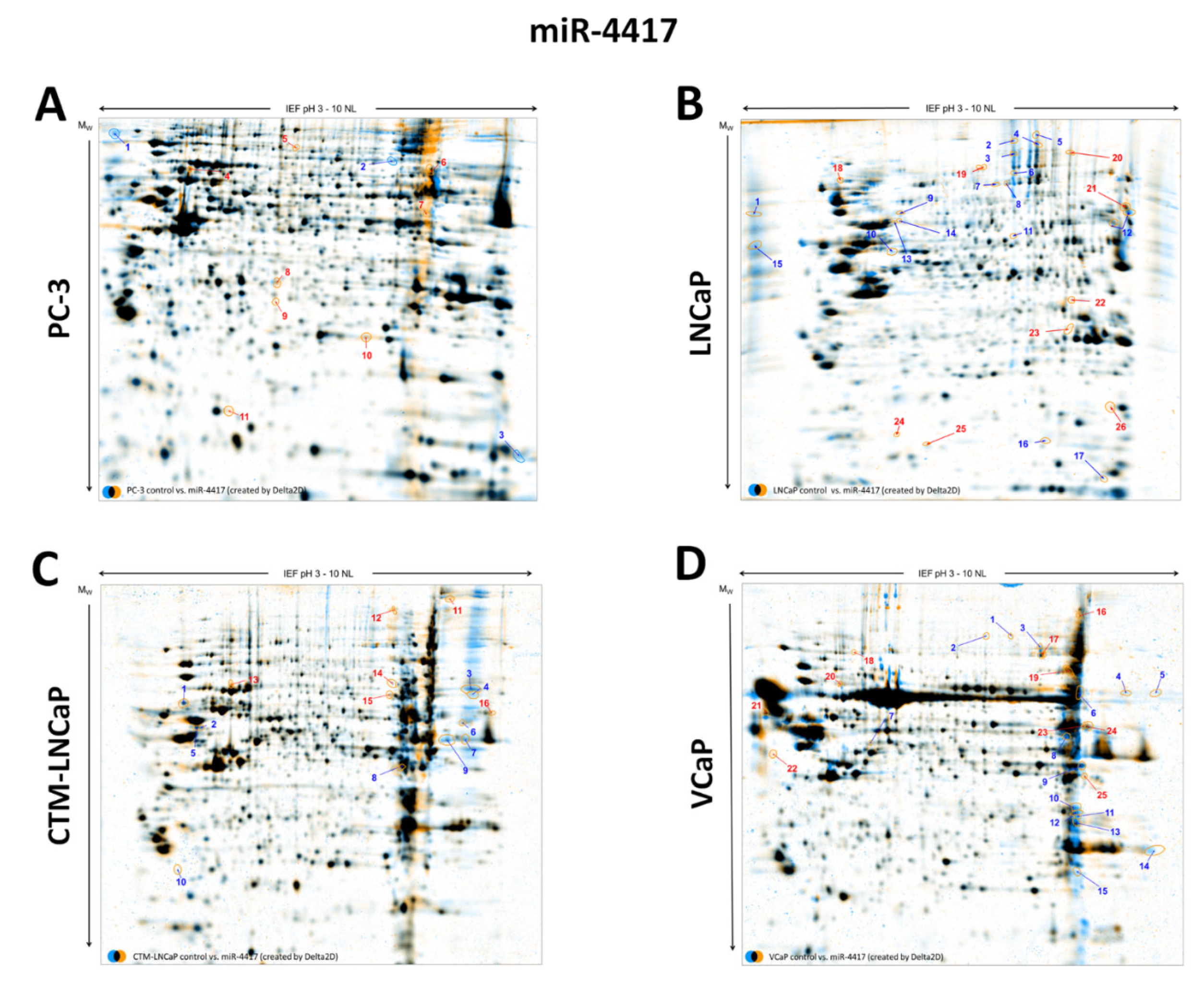 Ijms 23 10565 g0a2 Ijms 23 10565 g0a2