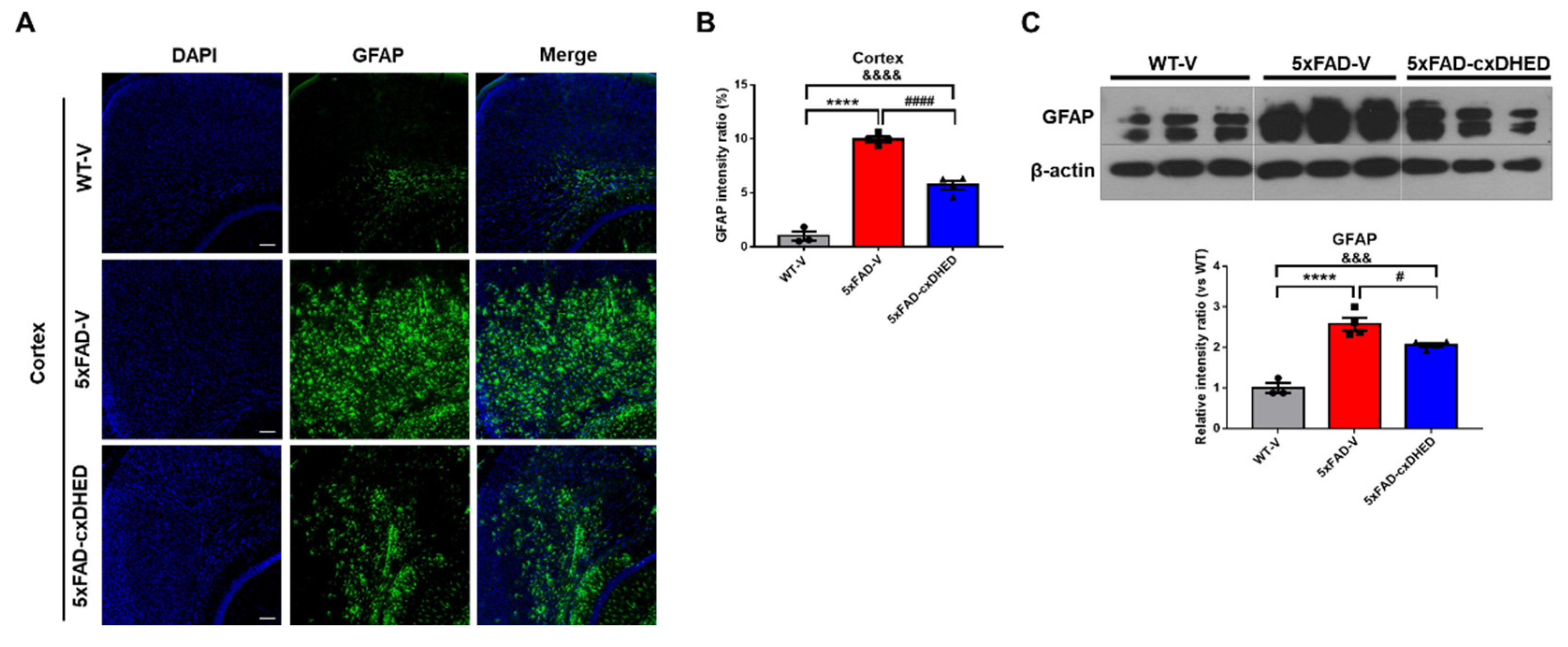 Ijms 23 10602 g003 Ijms 23 10602 g003